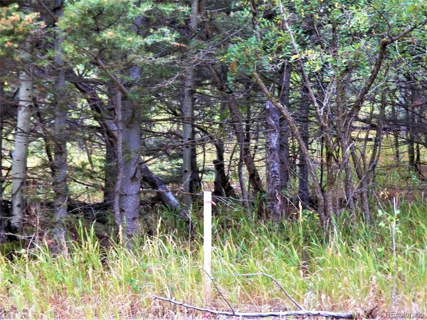 Spanish Peaks Drive, Aguilar, CO 81020, ,Land,For Sale,Spanish Peaks,REC9826145