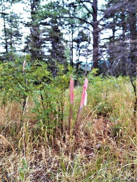 Spanish Peaks Drive, Aguilar, CO 81020, ,Land,For Sale,Spanish Peaks,REC9826145