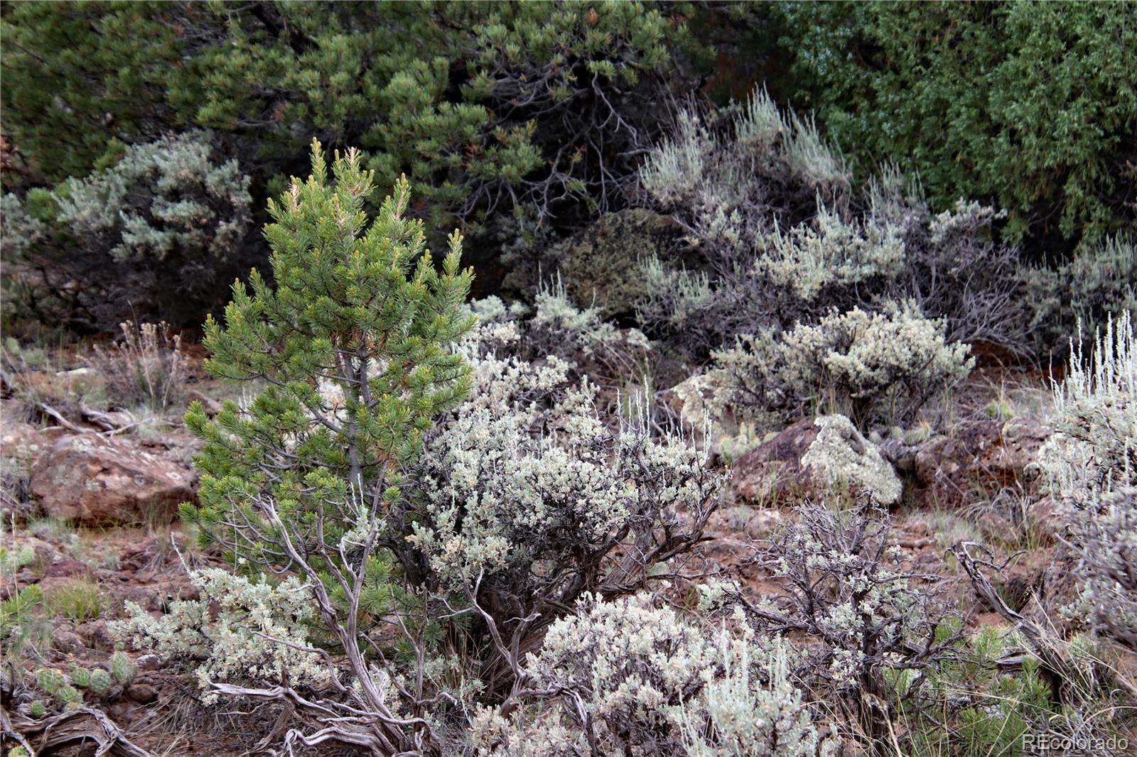 6.2 ac Norway Court, San Luis, CO 81152, ,Land,For Sale,Norway,REC2162363