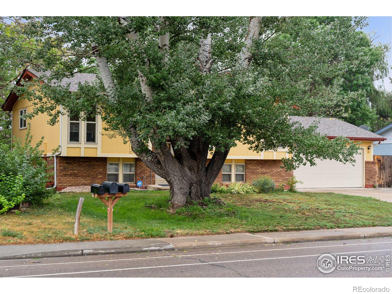 2120 Gay Street, Longmont, CO 80501, 4 Bedrooms Bedrooms, ,3 BathroomsBathrooms,Residential,For Sale,Gay,RECIR1018433