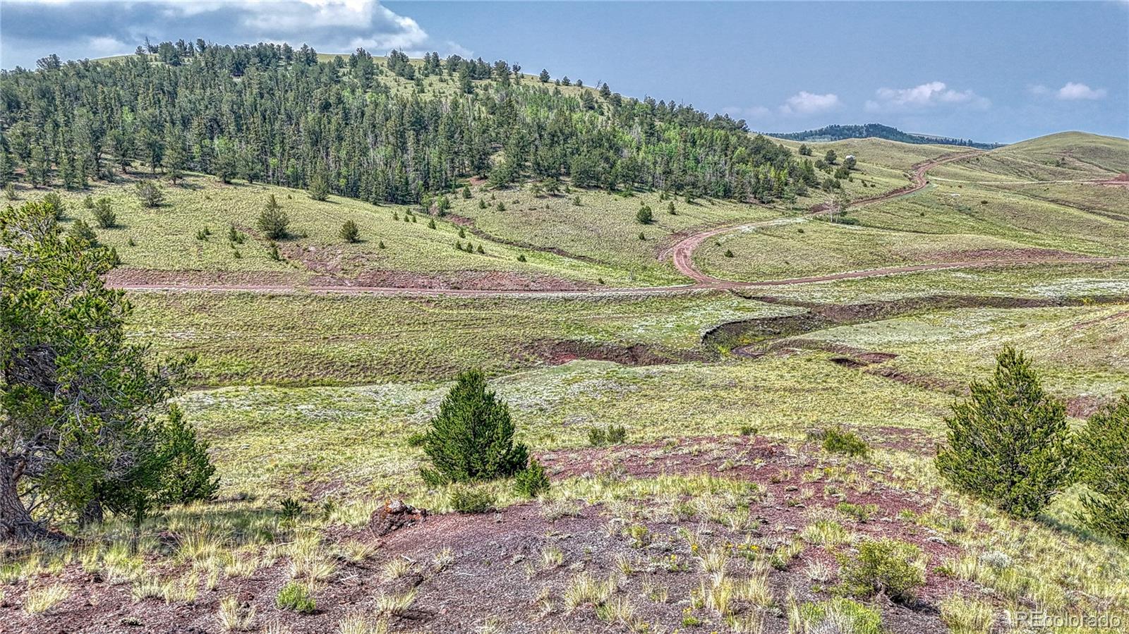 Lot 4234 Wicaka Trail, Hartsel, CO 80449, ,Land,For Sale,Wicaka,REC7669134
