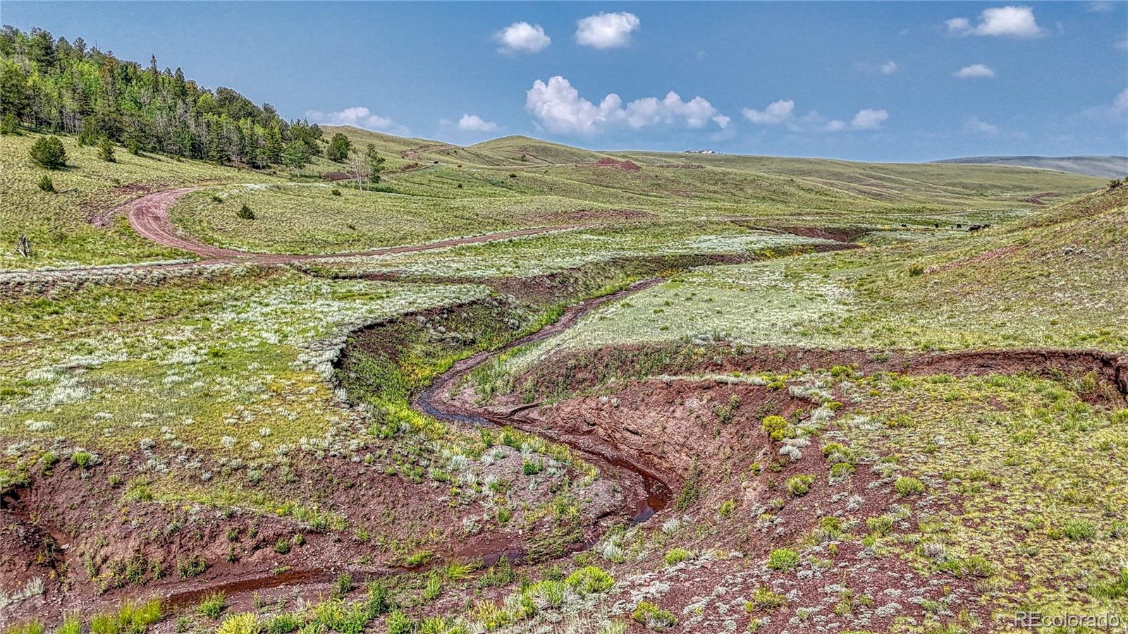Lot 4234 Wicaka Trail, Hartsel, CO 80449, ,Land,For Sale,Wicaka,REC7669134