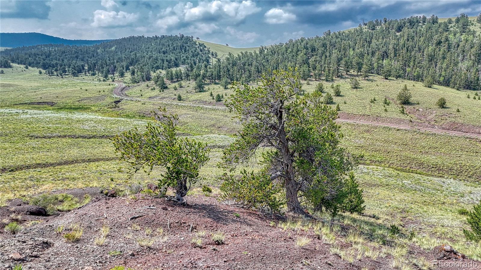 Lot 4234 Wicaka Trail, Hartsel, CO 80449, ,Land,For Sale,Wicaka,REC7669134