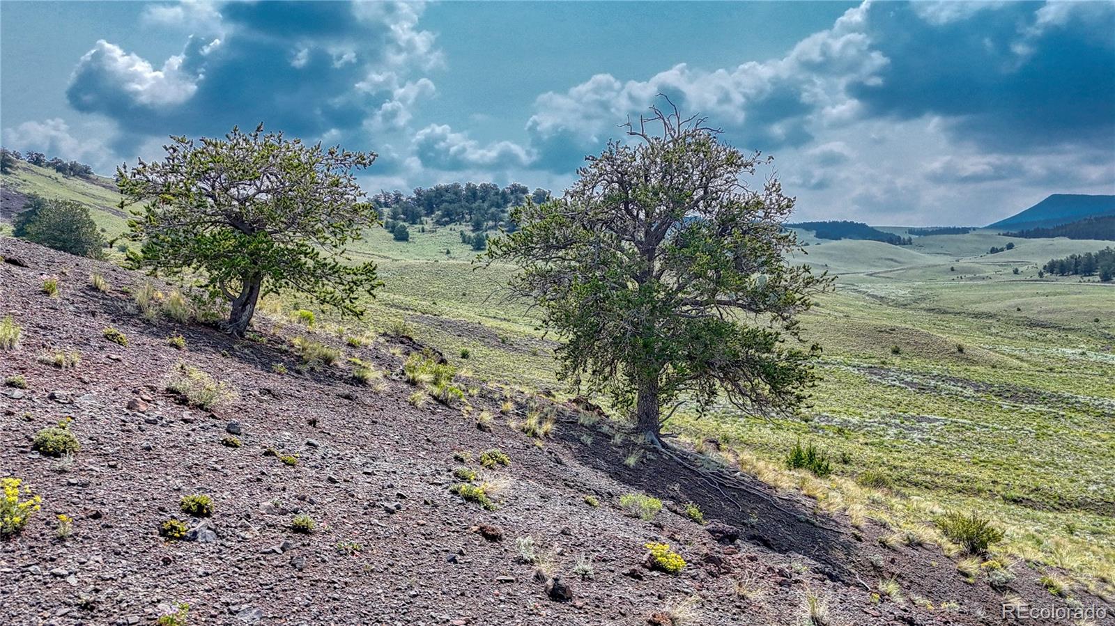 Lot 4234 Wicaka Trail, Hartsel, CO 80449, ,Land,For Sale,Wicaka,REC7669134
