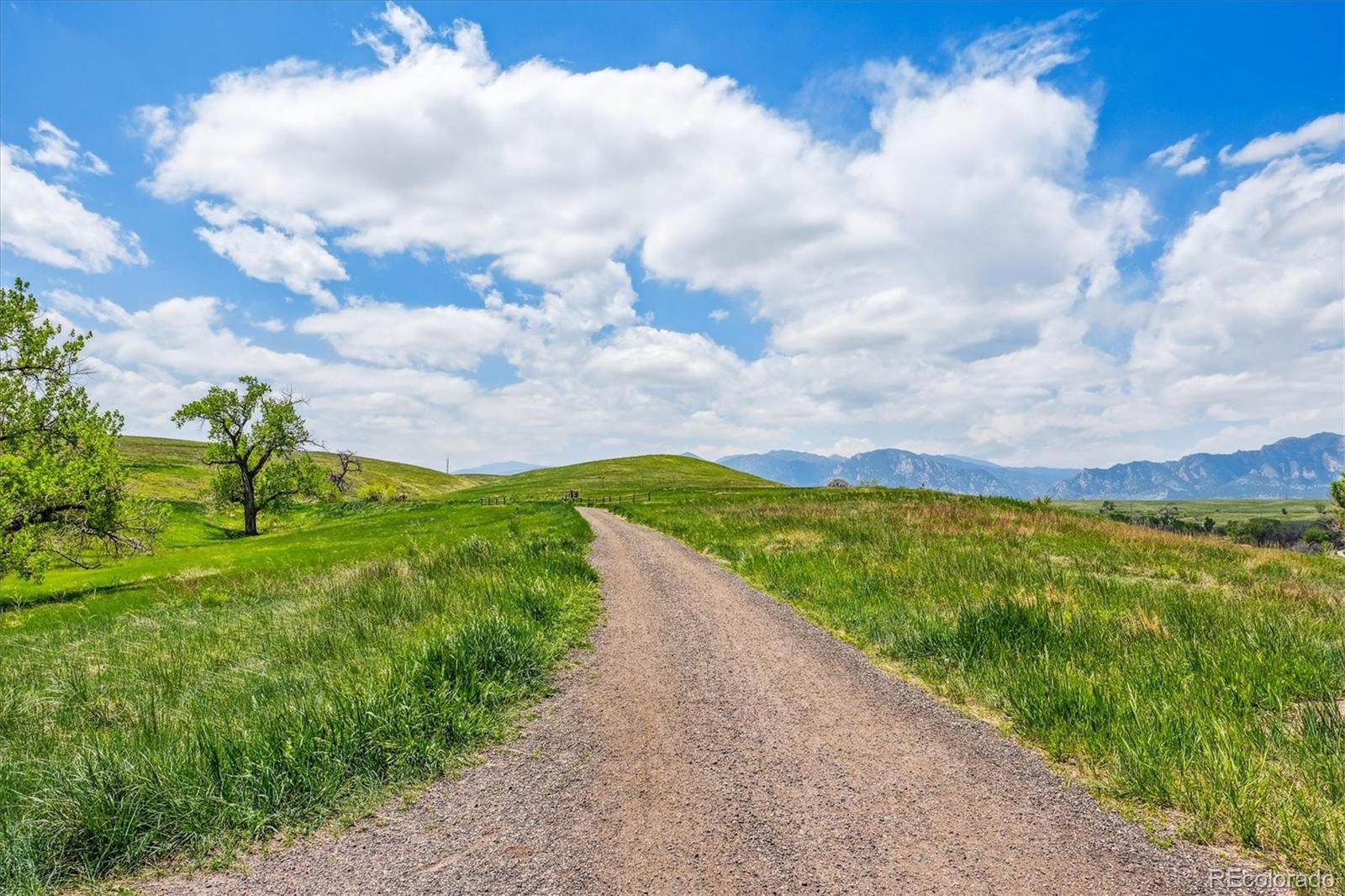 976 Saint Andrews Lane, Louisville, CO 80027, 5 Bedrooms Bedrooms, ,5 BathroomsBathrooms,Residential,For Sale,Coal Creek Ranch,Saint Andrews,REC9500469