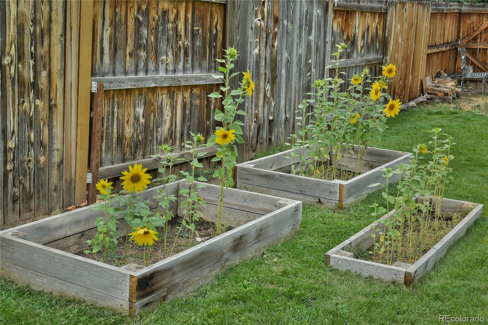 13258 Marlowe Avenue, Morrison, CO 80465, 4 Bedrooms Bedrooms, ,2 BathroomsBathrooms,Residential,For Sale,Marlowe,REC3608814