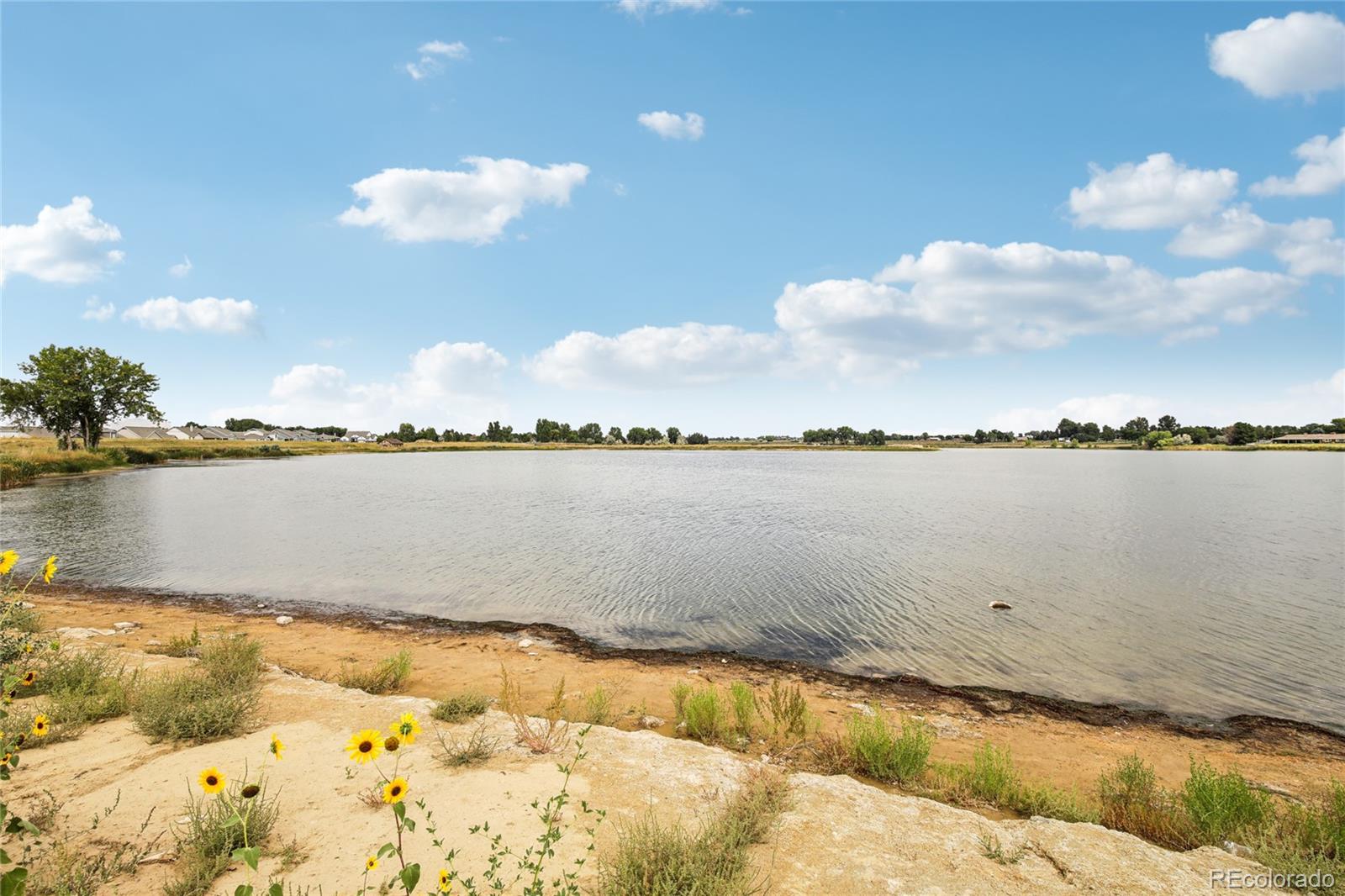 5240 Kellan Court, Timnath, CO 80547, 5 Bedrooms Bedrooms, ,4 BathroomsBathrooms,Residential,For Sale,Kellan,REC2838420