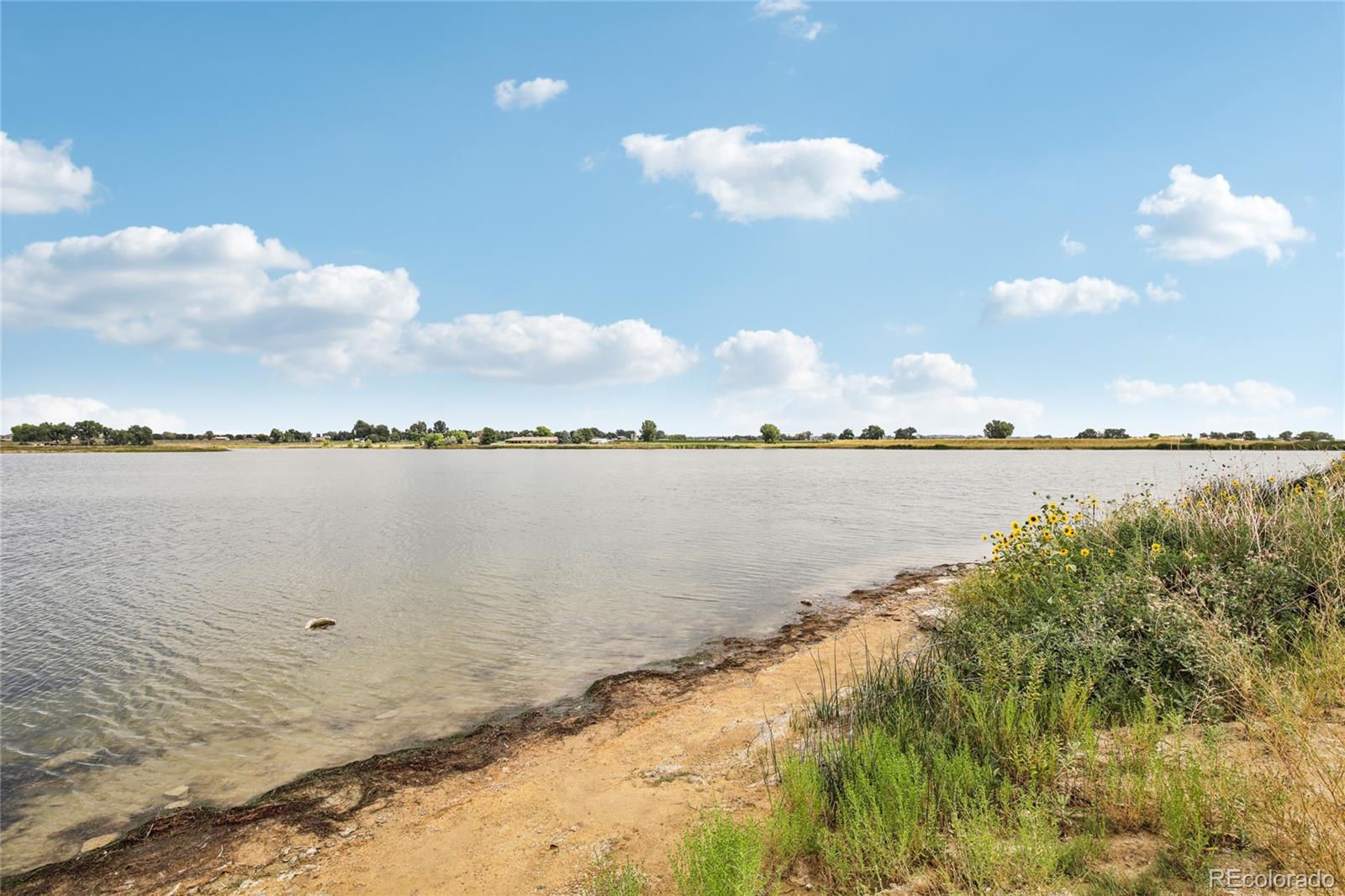 5240 Kellan Court, Timnath, CO 80547, 5 Bedrooms Bedrooms, ,4 BathroomsBathrooms,Residential,For Sale,Kellan,REC2838420