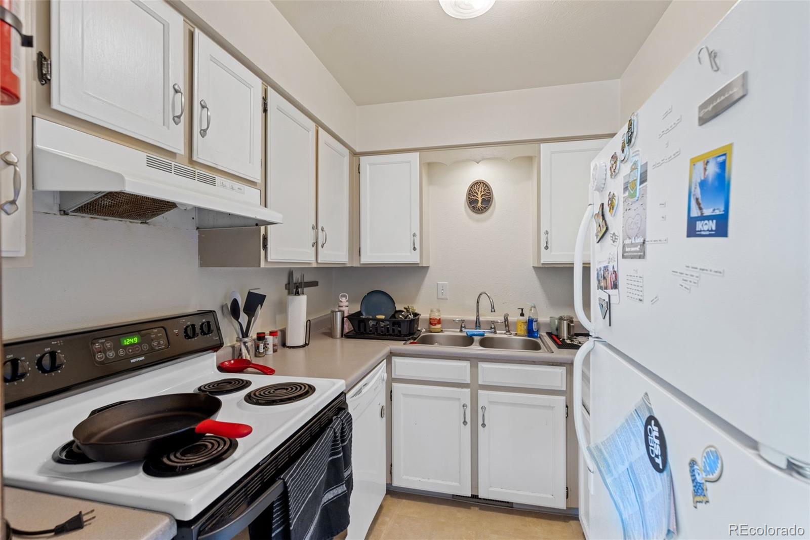 2330 Wedgewood Avenue, Longmont, CO 80503, 8 Bedrooms Bedrooms, ,4 BathroomsBathrooms,Income,For Sale,Wedgewood Apartments,Wedgewood,REC6093499