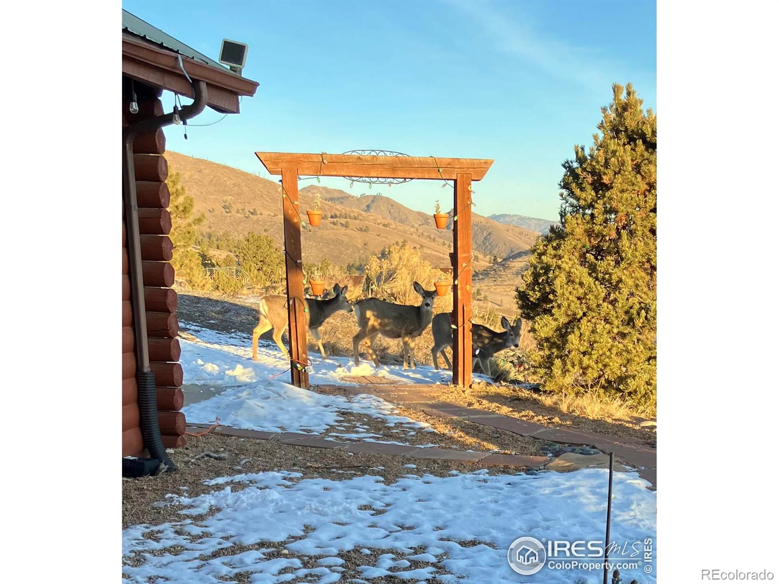 404 Mica Court, Bellvue, CO 80512, 2 Bedrooms Bedrooms, ,4 BathroomsBathrooms,Residential,For Sale,Mica,RECIR1018854