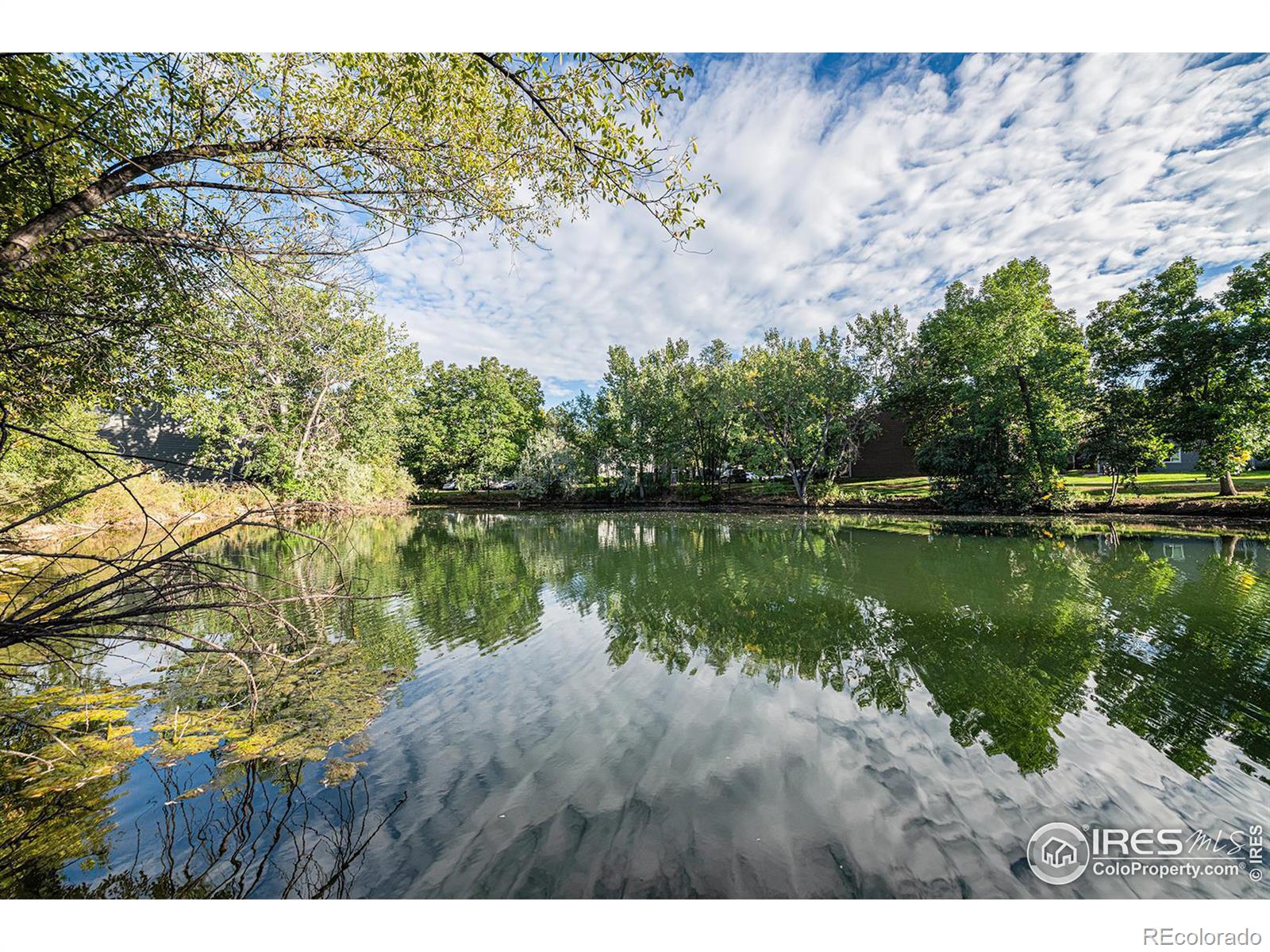 1225 Prospect Road #R38, Fort Collins, CO 80526, 1 Bedroom Bedrooms, ,1 BathroomBathrooms,Residential,For Sale,Prospect,RECIR1018849