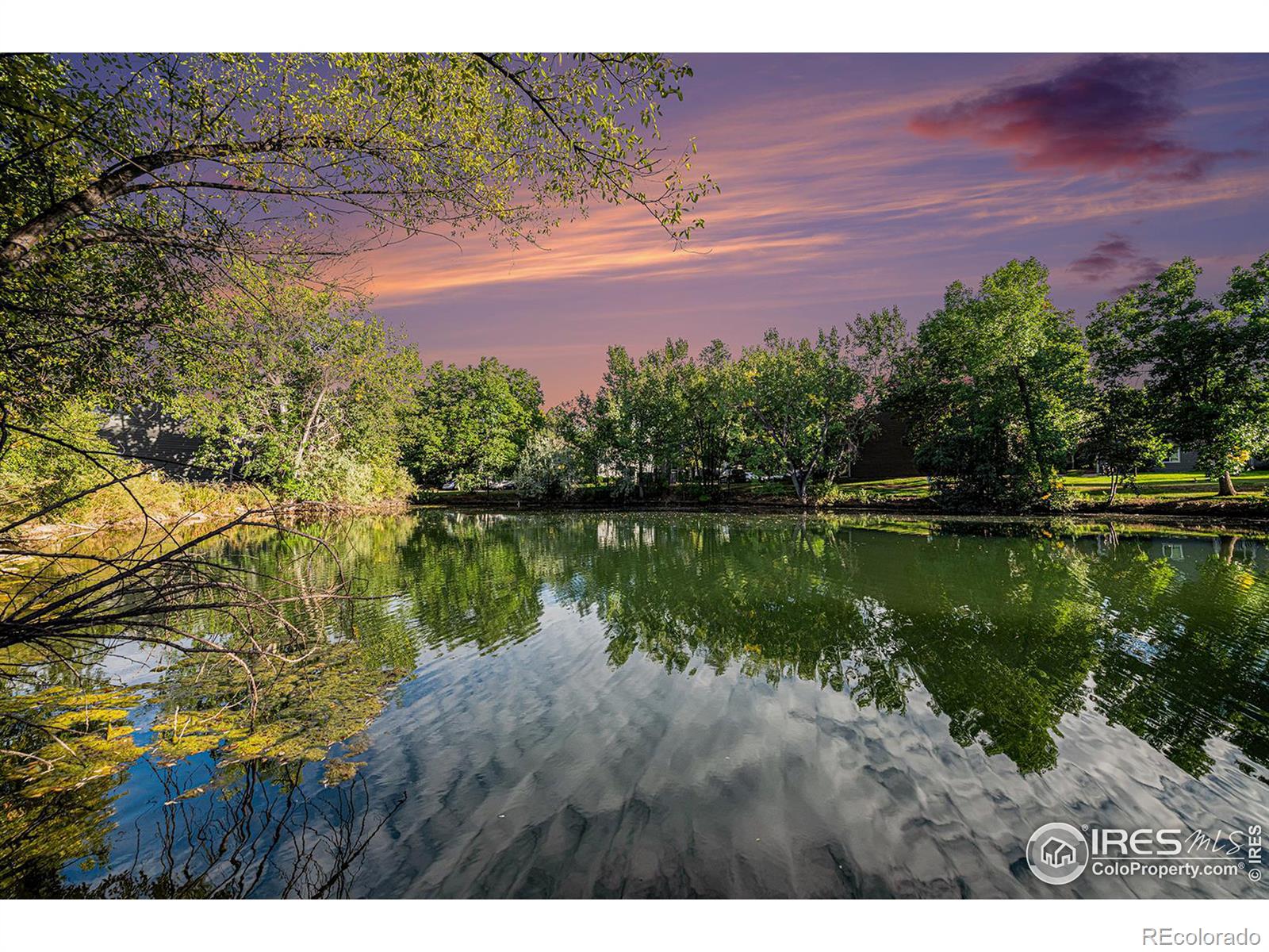 1225 Prospect Road #R38, Fort Collins, CO 80526, 1 Bedroom Bedrooms, ,1 BathroomBathrooms,Residential,For Sale,Prospect,RECIR1018849