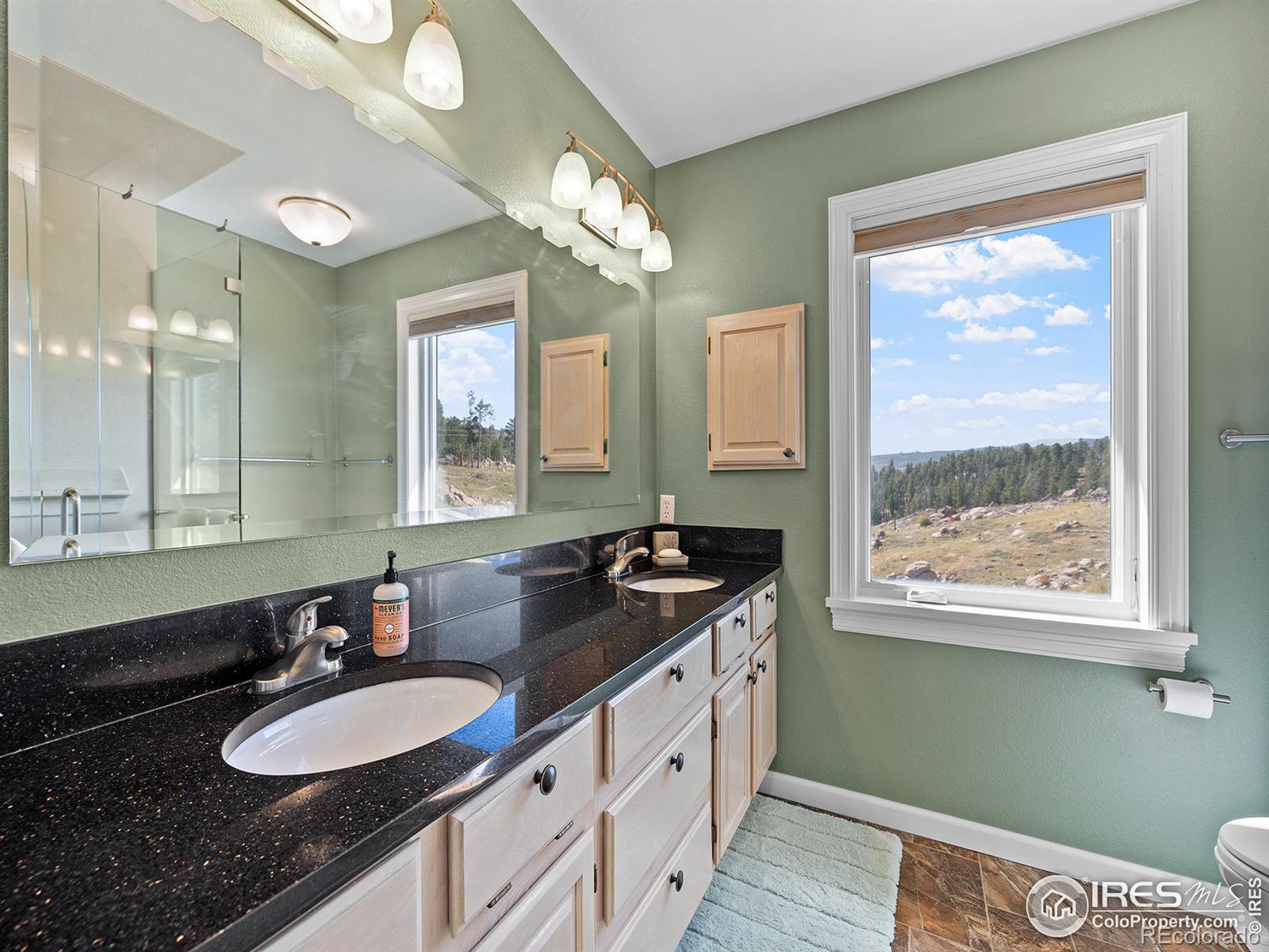 500 Dirt Road, Bellvue, CO 80512, 2 Bedrooms Bedrooms, ,2 BathroomsBathrooms,Residential,For Sale,Dirt,RECIR1018853