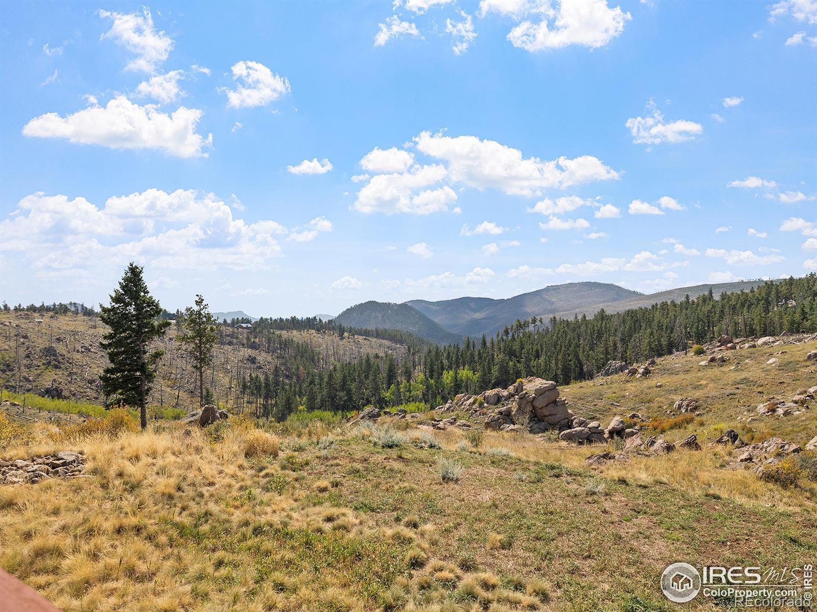 500 Dirt Road, Bellvue, CO 80512, 2 Bedrooms Bedrooms, ,2 BathroomsBathrooms,Residential,For Sale,Dirt,RECIR1018853