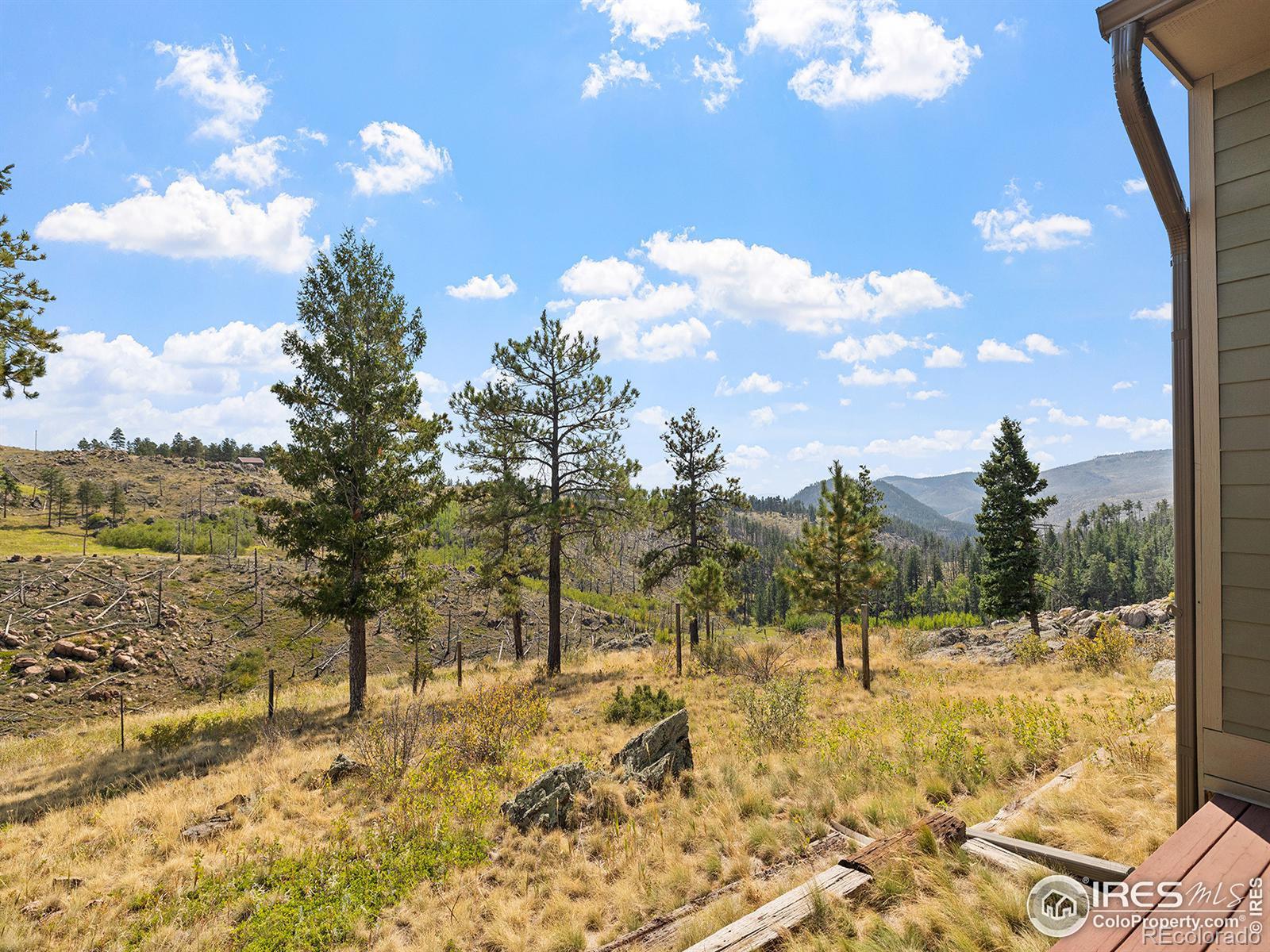 500 Dirt Road, Bellvue, CO 80512, 2 Bedrooms Bedrooms, ,2 BathroomsBathrooms,Residential,For Sale,Dirt,RECIR1018853