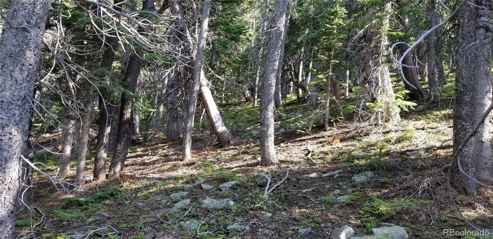 1900 County Road 128J, Nederland, CO 80466, ,Land,For Sale,County Road 128J,REC6823286