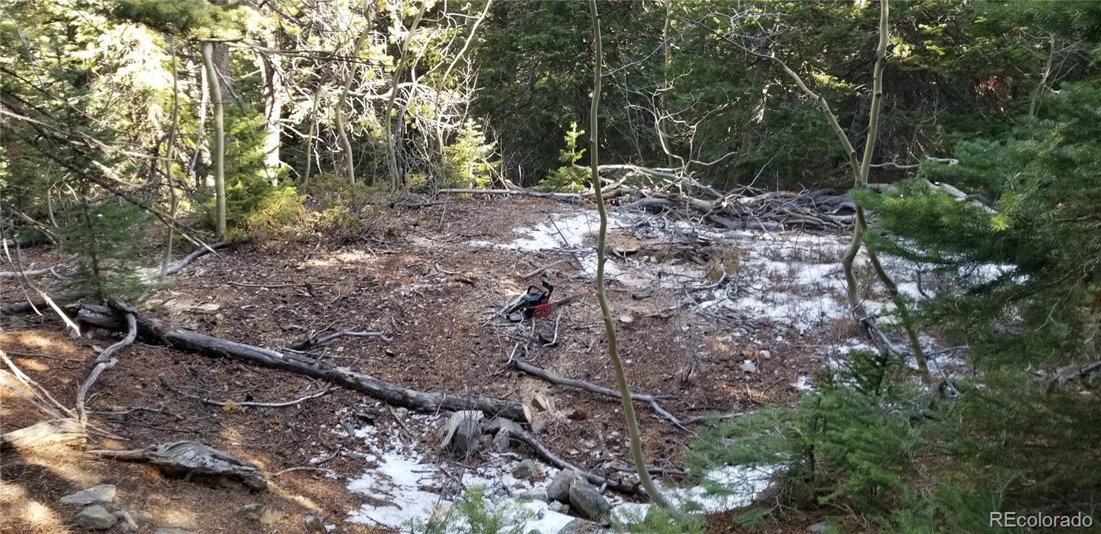 1900 County Road 128J, Nederland, CO 80466, ,Land,For Sale,County Road 128J,REC6823286