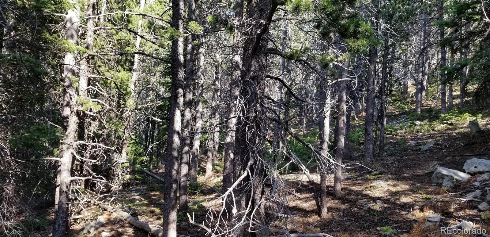 1900 County Road 128J, Nederland, CO 80466, ,Land,For Sale,County Road 128J,REC6823286