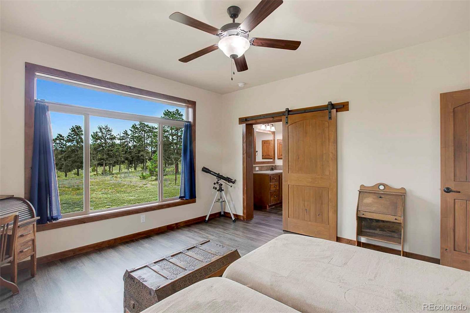 496 Julia Road, Guffey, CO 80820, 3 Bedrooms Bedrooms, ,2 BathroomsBathrooms,Residential,For Sale,Julia,REC1816817