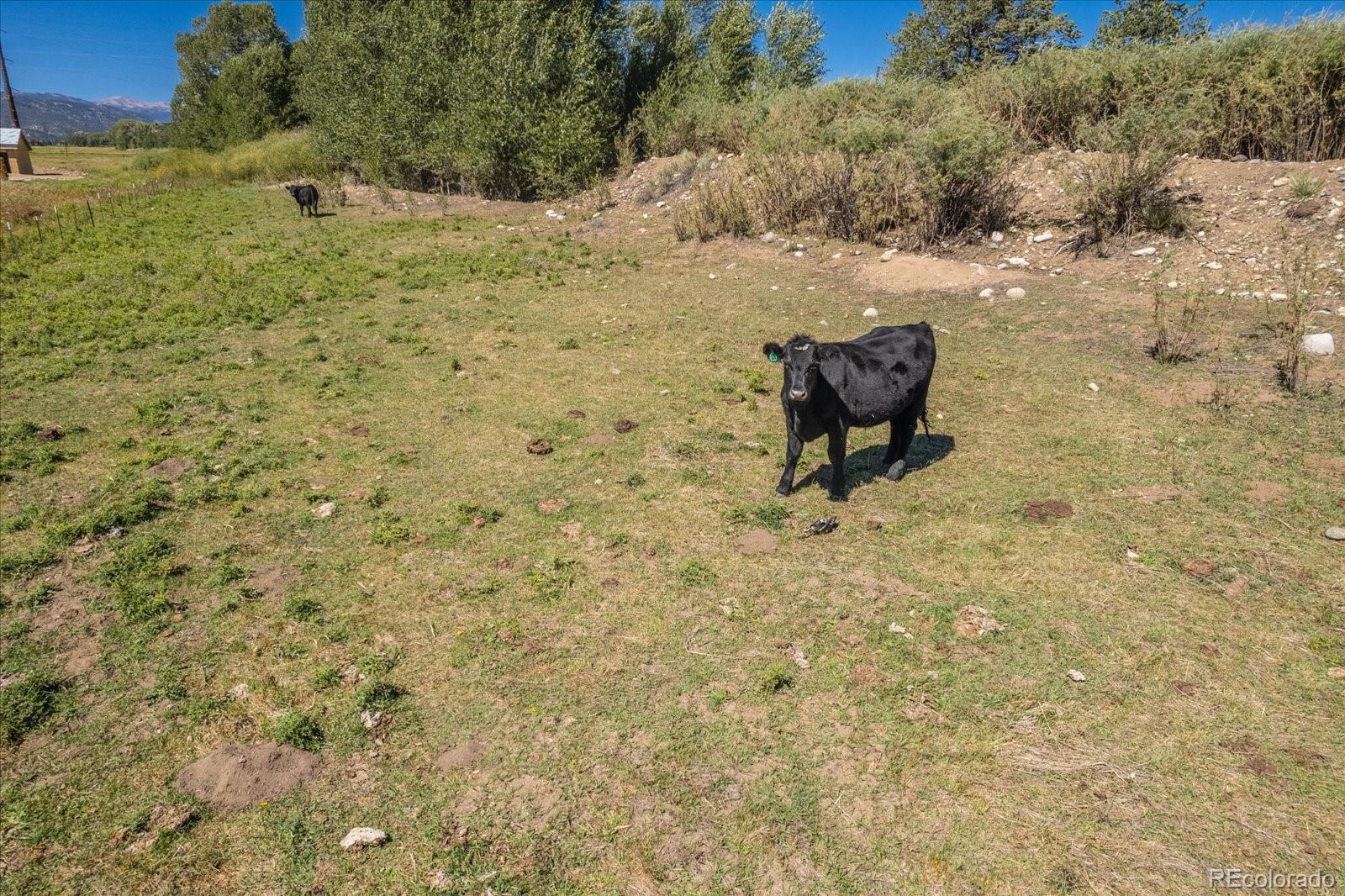 104 Holman Lane, Poncha Springs, CO 81242, ,Land,For Sale,Holman,REC5592836