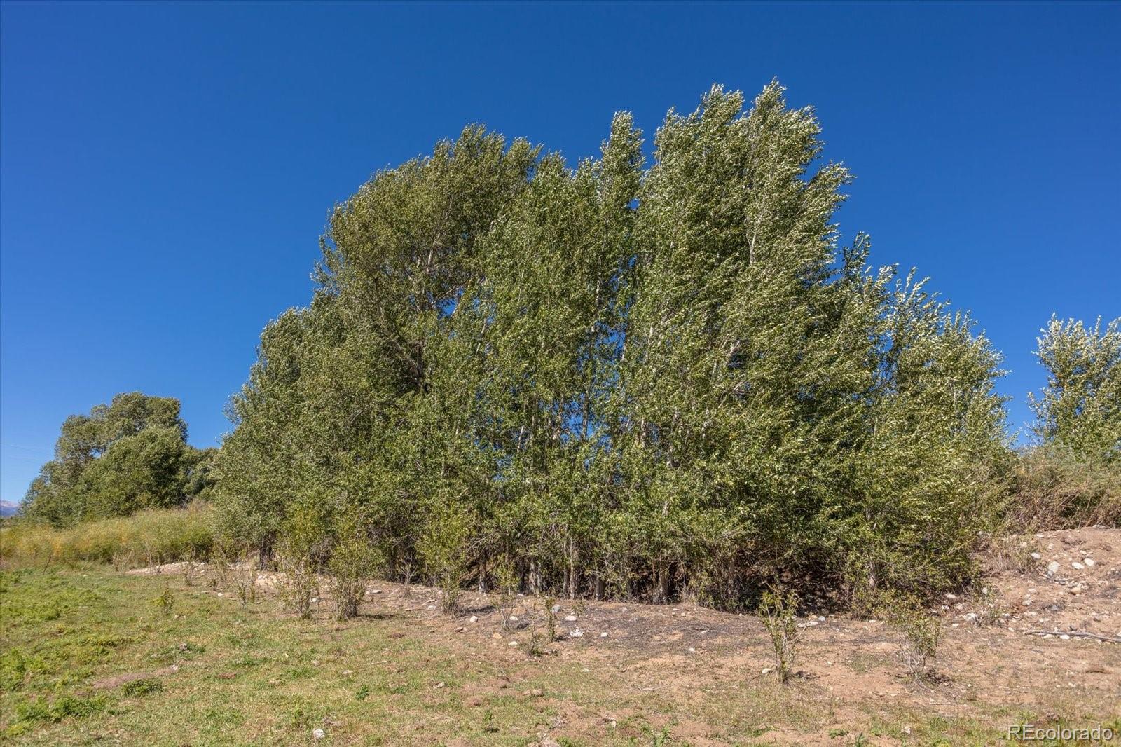 104 Holman Lane, Poncha Springs, CO 81242, ,Land,For Sale,Holman,REC5592836