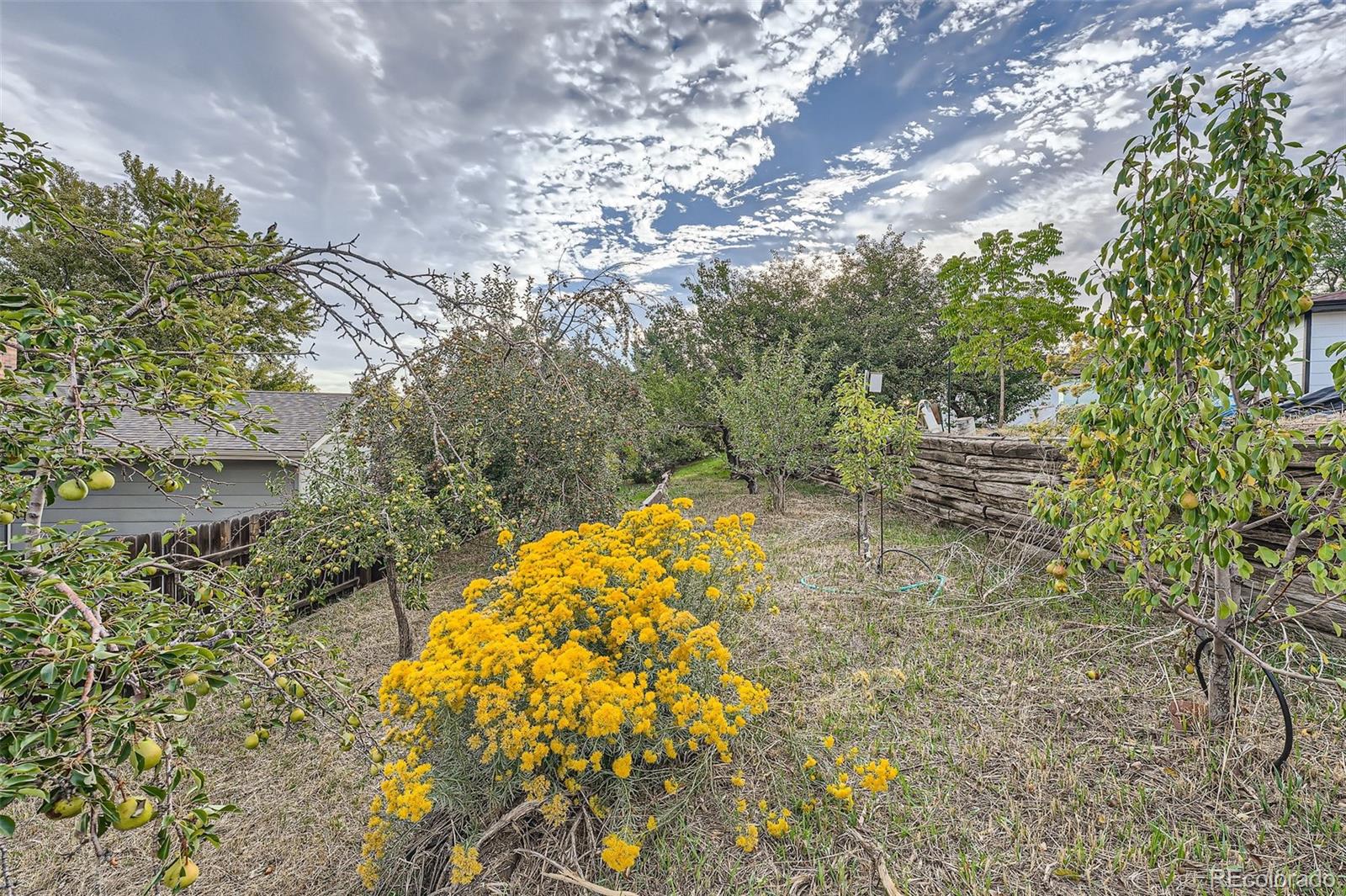 7315 Upham Court, Arvada, CO 80003, 4 Bedrooms Bedrooms, ,3 BathroomsBathrooms,Residential,For Sale,Upham,REC6261395