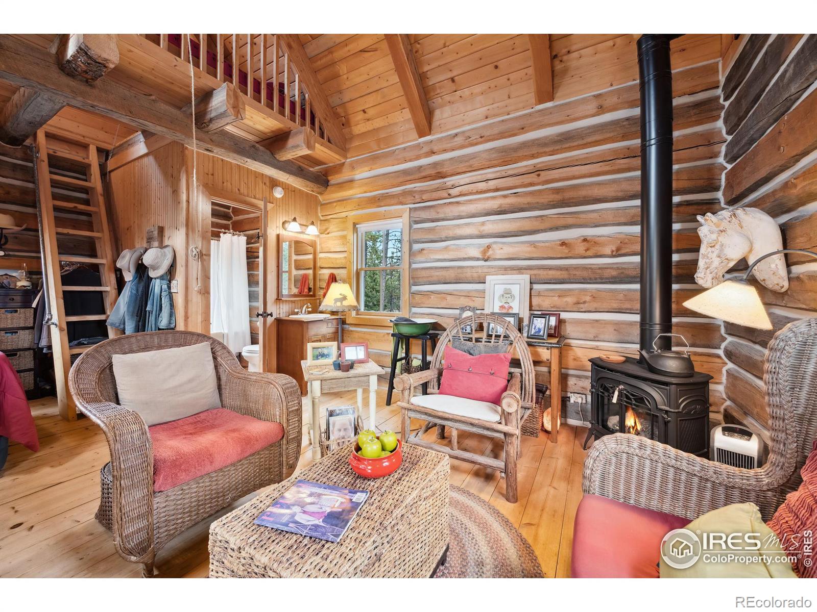 250 El Arbol Drive, Bellvue, CO 80512, 1 Bedroom Bedrooms, ,1 BathroomBathrooms,Residential,For Sale,El Arbol,RECIR1019341