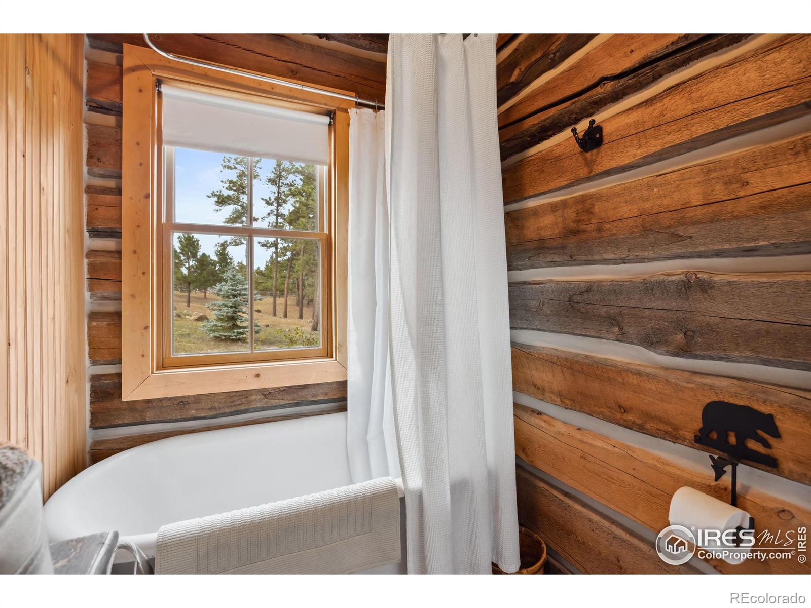250 El Arbol Drive, Bellvue, CO 80512, 1 Bedroom Bedrooms, ,1 BathroomBathrooms,Residential,For Sale,El Arbol,RECIR1019341