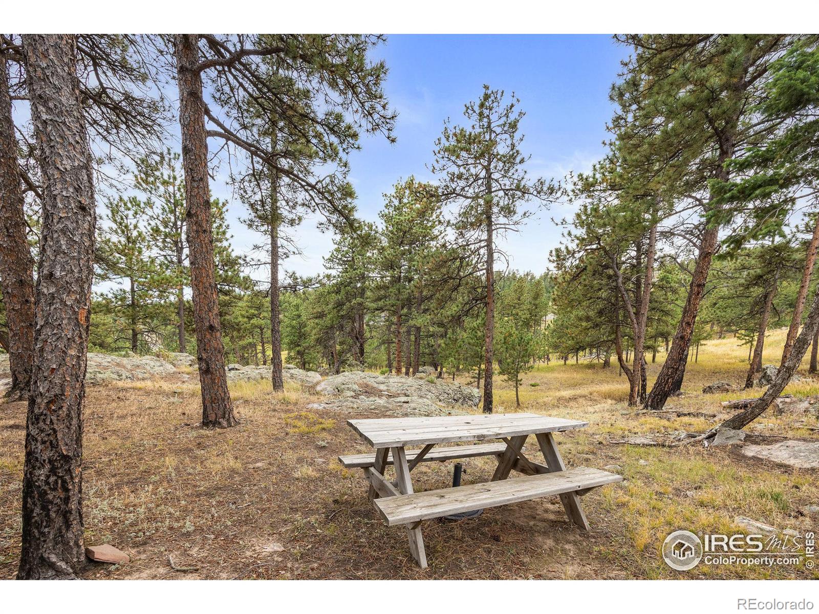 250 El Arbol Drive, Bellvue, CO 80512, 1 Bedroom Bedrooms, ,1 BathroomBathrooms,Residential,For Sale,El Arbol,RECIR1019341