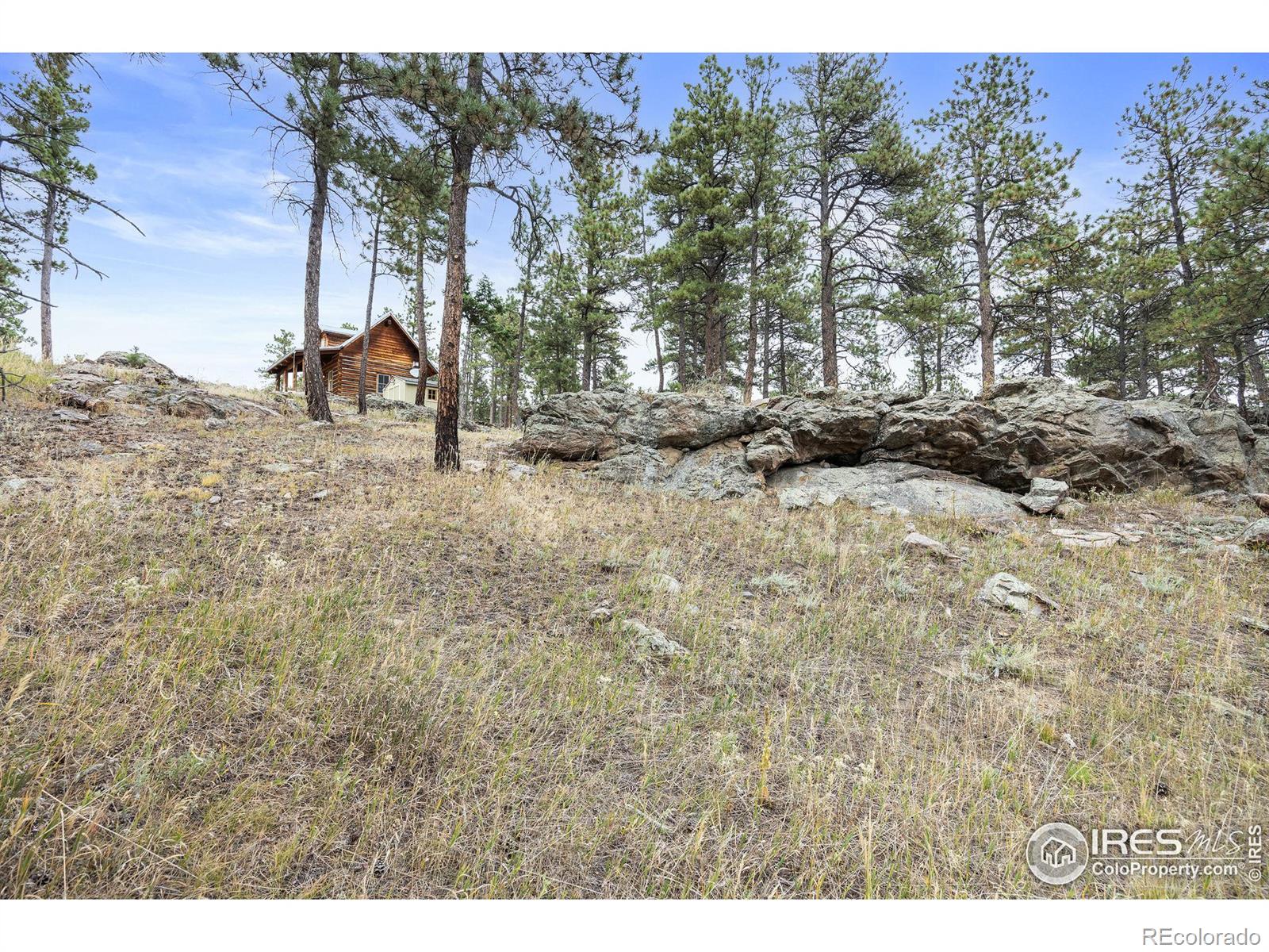 250 El Arbol Drive, Bellvue, CO 80512, 1 Bedroom Bedrooms, ,1 BathroomBathrooms,Residential,For Sale,El Arbol,RECIR1019341