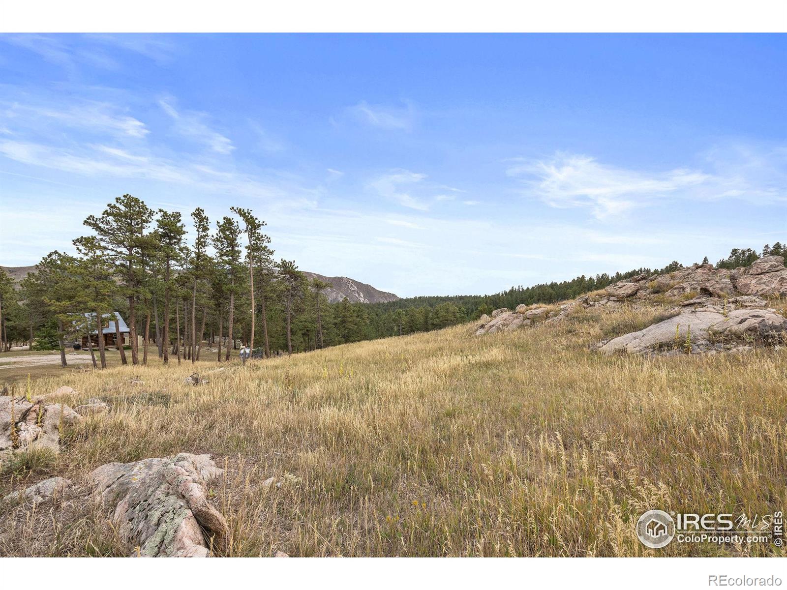 250 El Arbol Drive, Bellvue, CO 80512, 1 Bedroom Bedrooms, ,1 BathroomBathrooms,Residential,For Sale,El Arbol,RECIR1019341