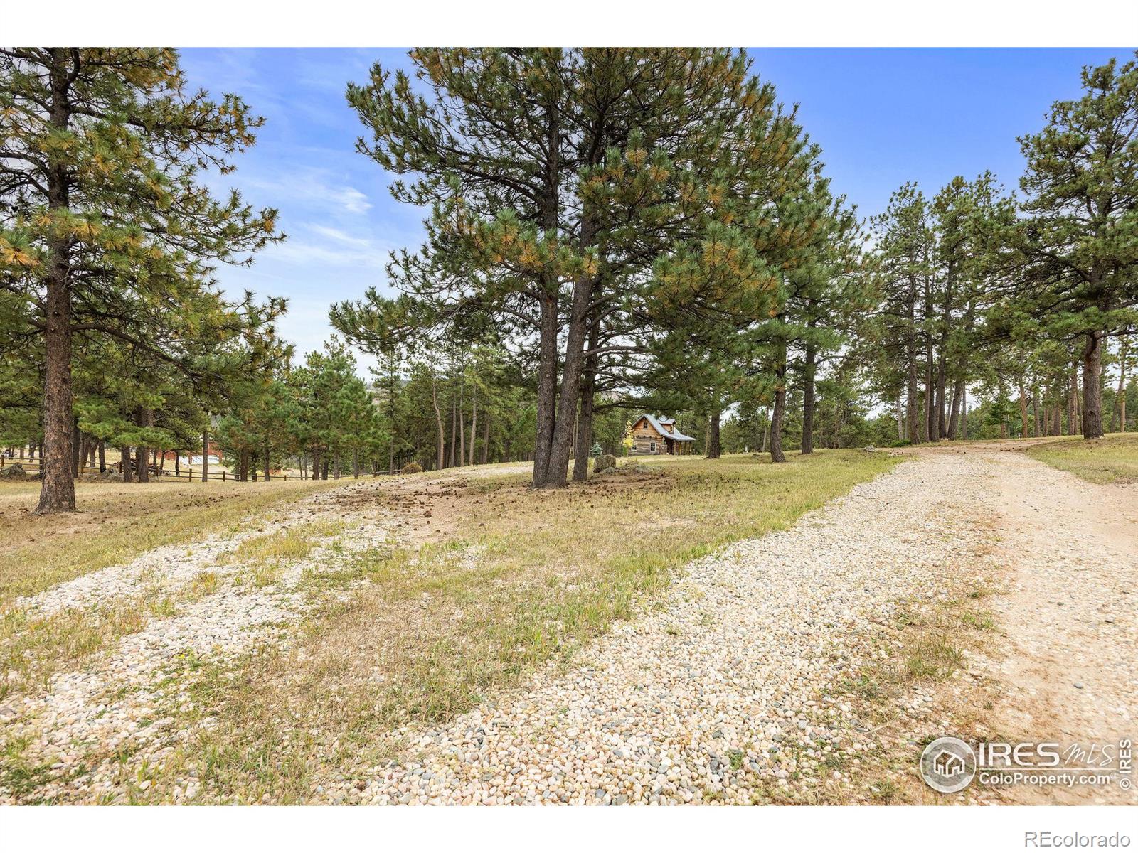 250 El Arbol Drive, Bellvue, CO 80512, 1 Bedroom Bedrooms, ,1 BathroomBathrooms,Residential,For Sale,El Arbol,RECIR1019341