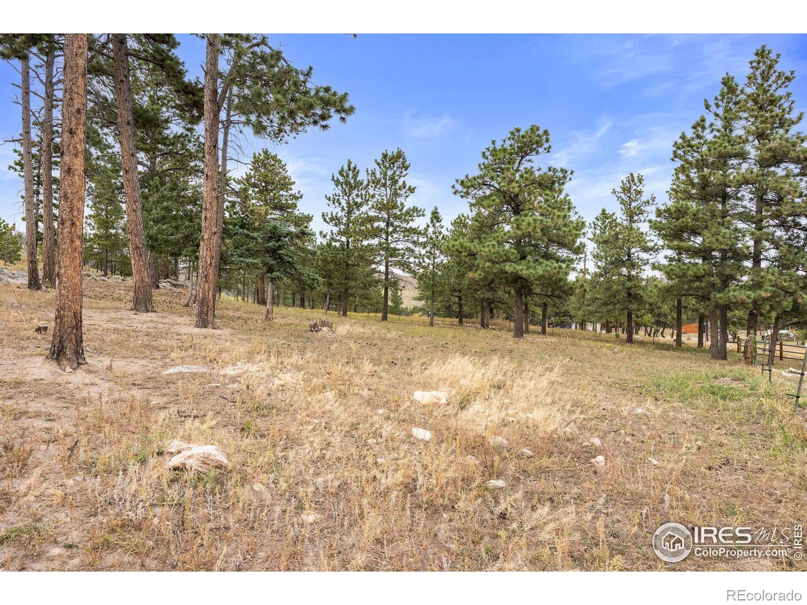 250 El Arbol Drive, Bellvue, CO 80512, 1 Bedroom Bedrooms, ,1 BathroomBathrooms,Residential,For Sale,El Arbol,RECIR1019341