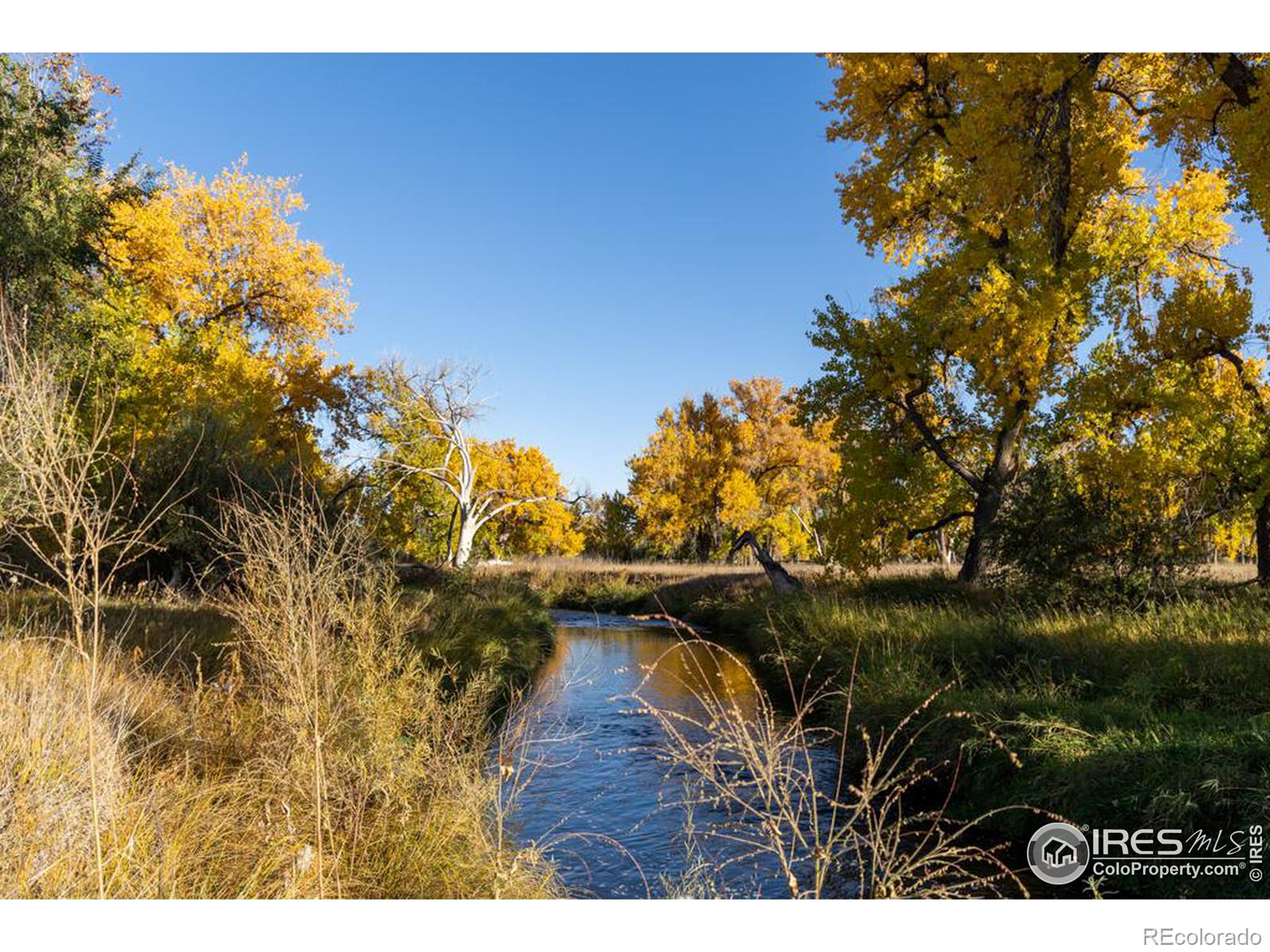4229 Luchello Court, Johnstown, CO 80534, ,Land,For Sale,Luchello,RECIR1019355