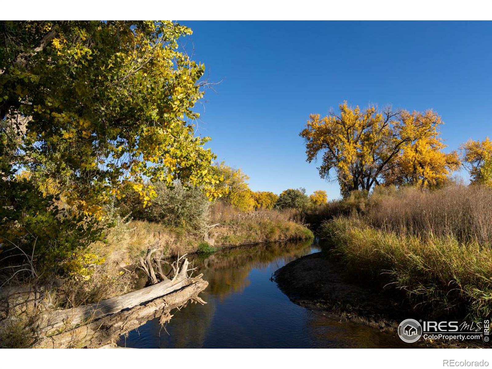 4229 Luchello Court, Johnstown, CO 80534, ,Land,For Sale,Luchello,RECIR1019355