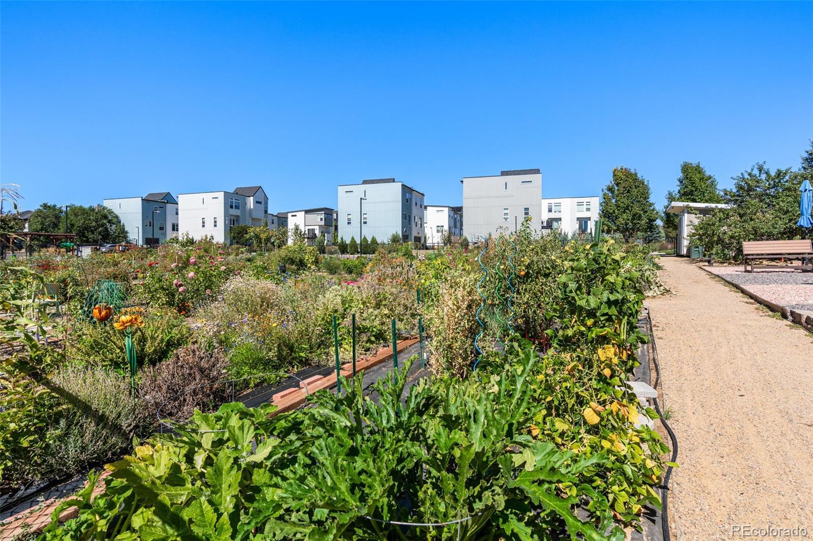 Restricted Address, 3 Bedrooms Bedrooms, ,4 BathroomsBathrooms,Residential,For Sale,Navajo,REC3697110