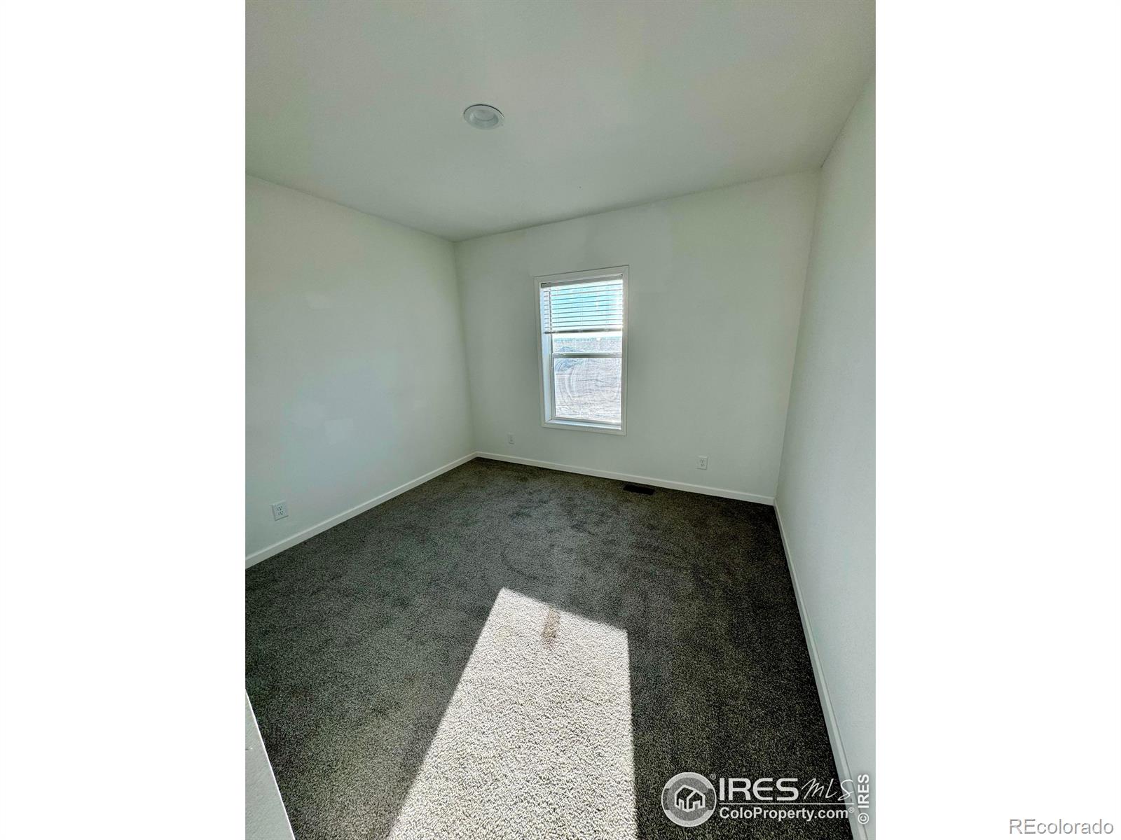 0 (Parcel 2) CR 96, Pierce, CO 80650, 3 Bedrooms Bedrooms, ,2 BathroomsBathrooms,Residential,For Sale,(Parcel 2) CR 96,RECIR1019466