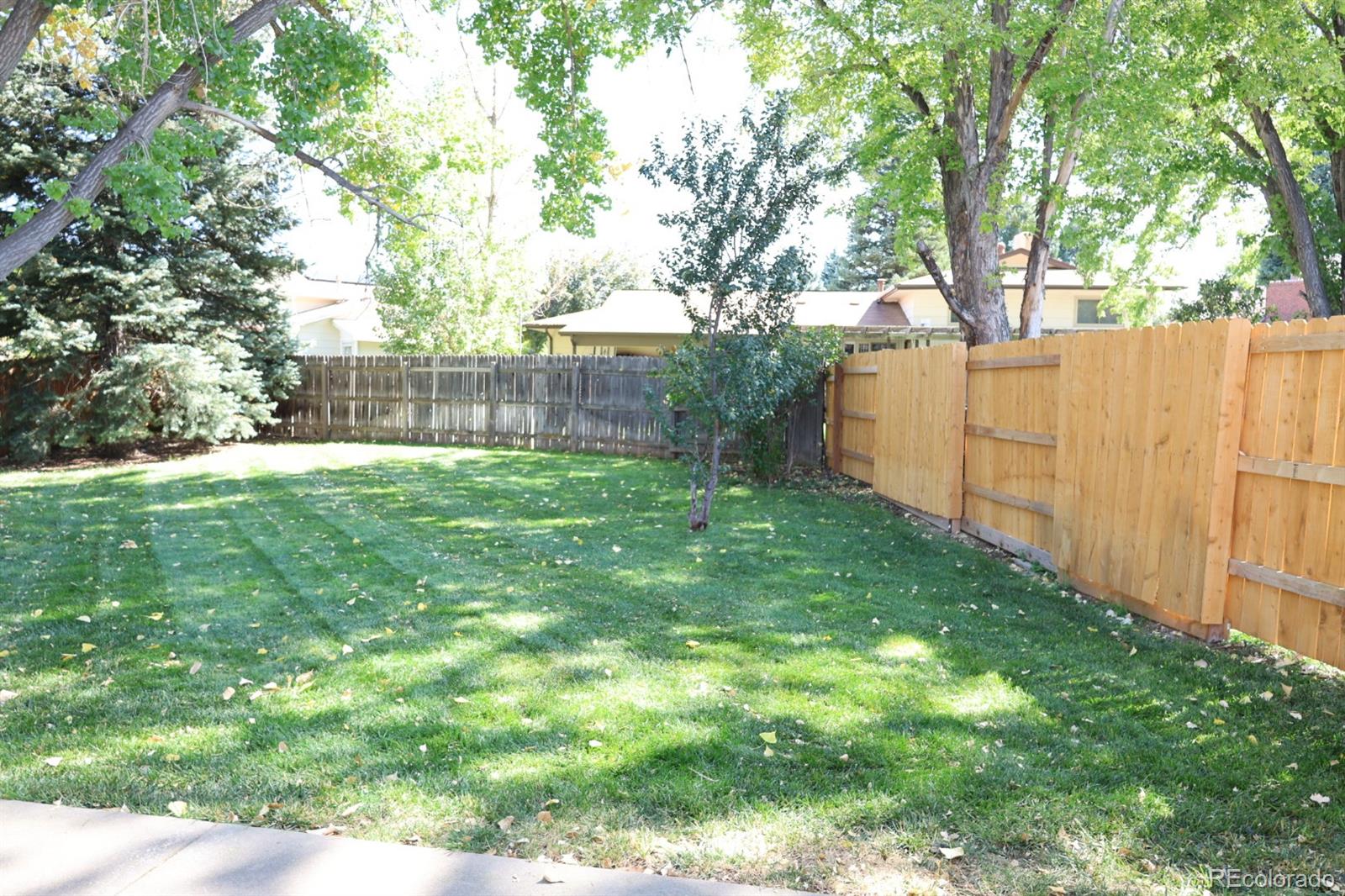 3558 Newland Street, Denver, CO 80235, 3 Bedrooms Bedrooms, ,1 BathroomBathrooms,Residential,For Sale,Newland,REC7443677