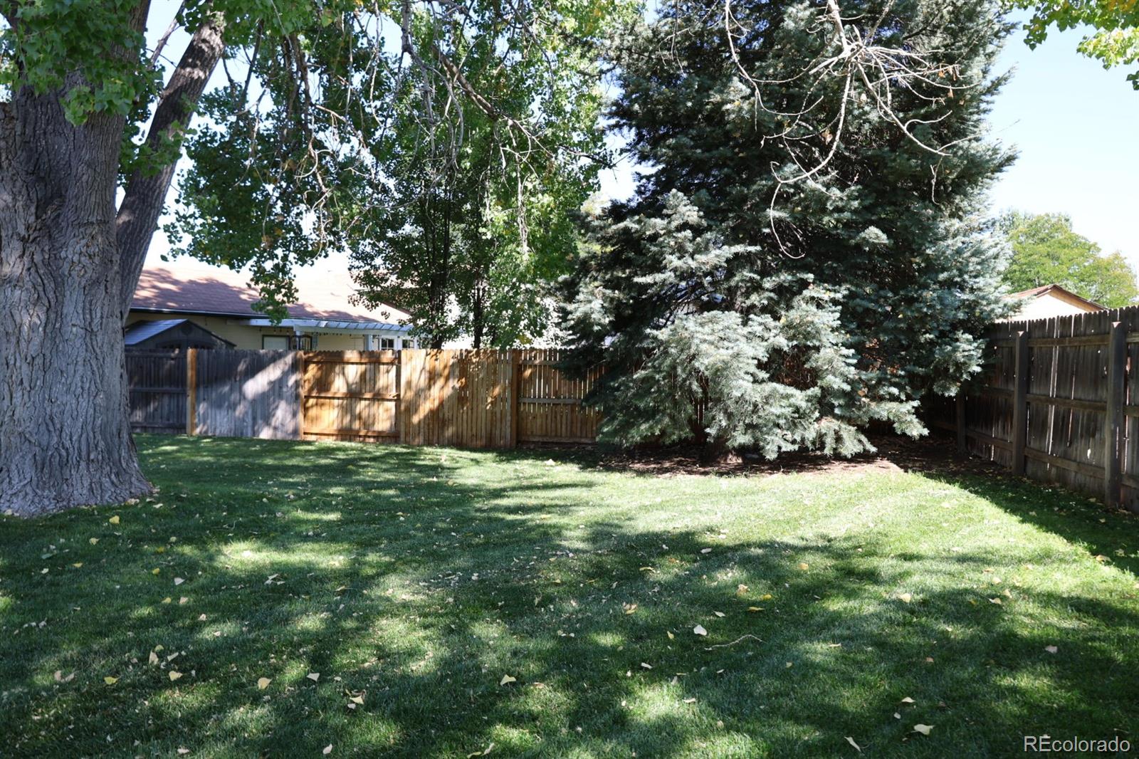 3558 Newland Street, Denver, CO 80235, 3 Bedrooms Bedrooms, ,1 BathroomBathrooms,Residential,For Sale,Newland,REC7443677
