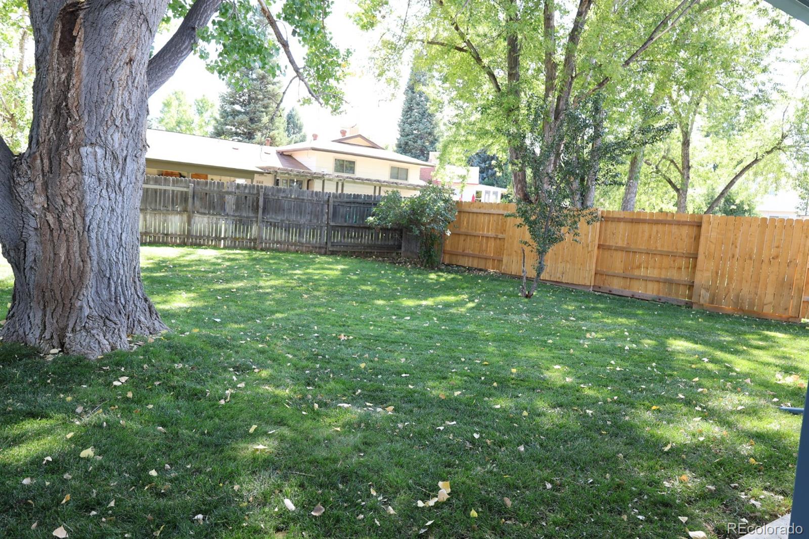 3558 Newland Street, Denver, CO 80235, 3 Bedrooms Bedrooms, ,1 BathroomBathrooms,Residential,For Sale,Newland,REC7443677