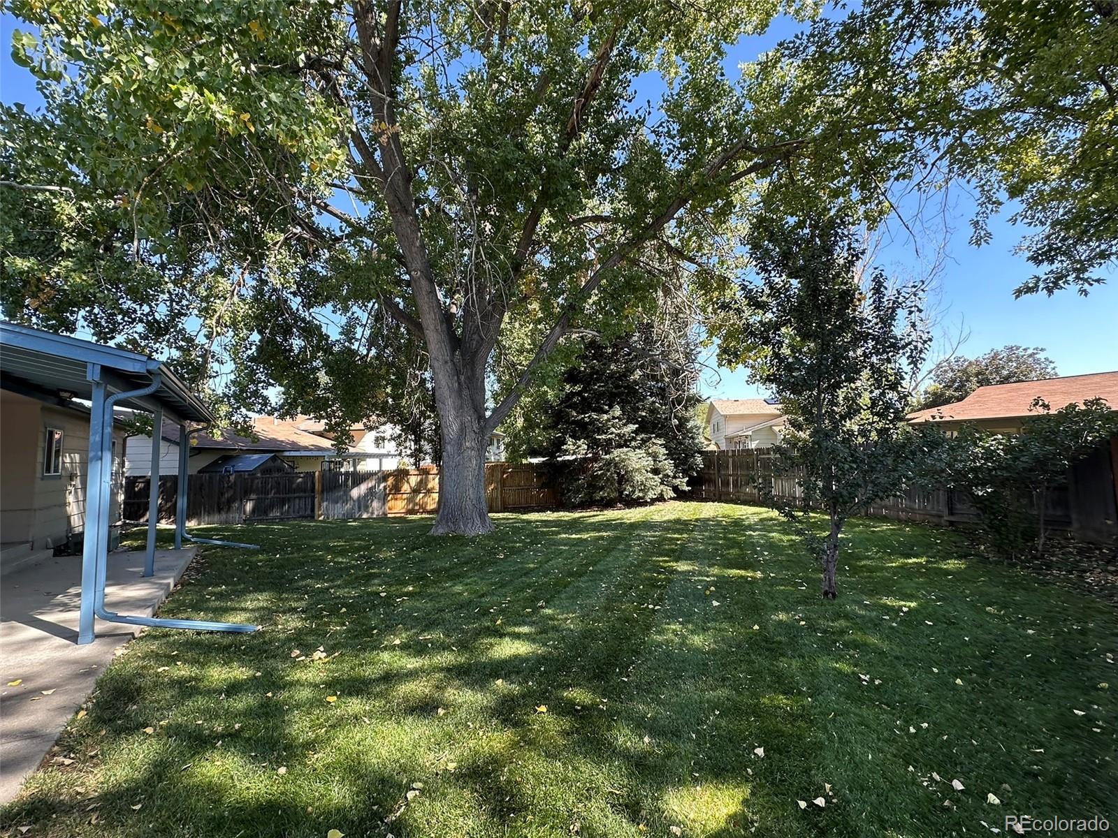 3558 Newland Street, Denver, CO 80235, 3 Bedrooms Bedrooms, ,1 BathroomBathrooms,Residential,For Sale,Newland,REC7443677