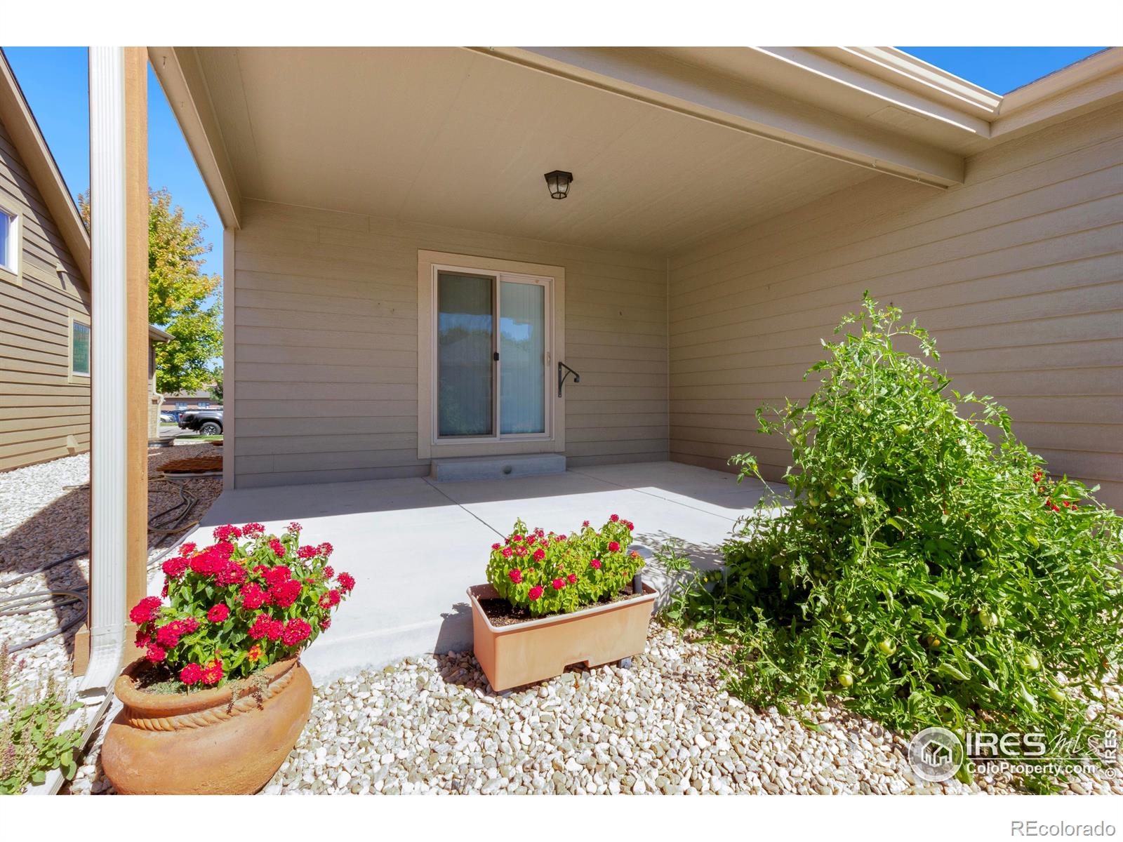 6544 18th Street, Greeley, CO 80634, 3 Bedrooms Bedrooms, ,2 BathroomsBathrooms,Residential,For Sale,18th,RECIR1019605