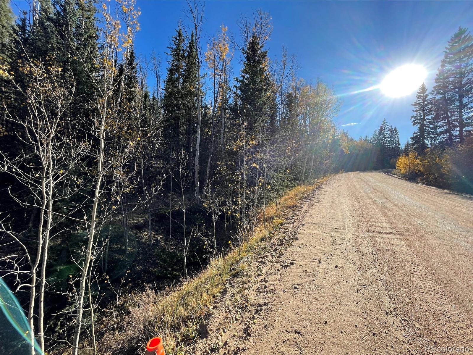 6409 Remington Road, Como, CO 80432, ,Land,For Sale,Remington,REC9129230