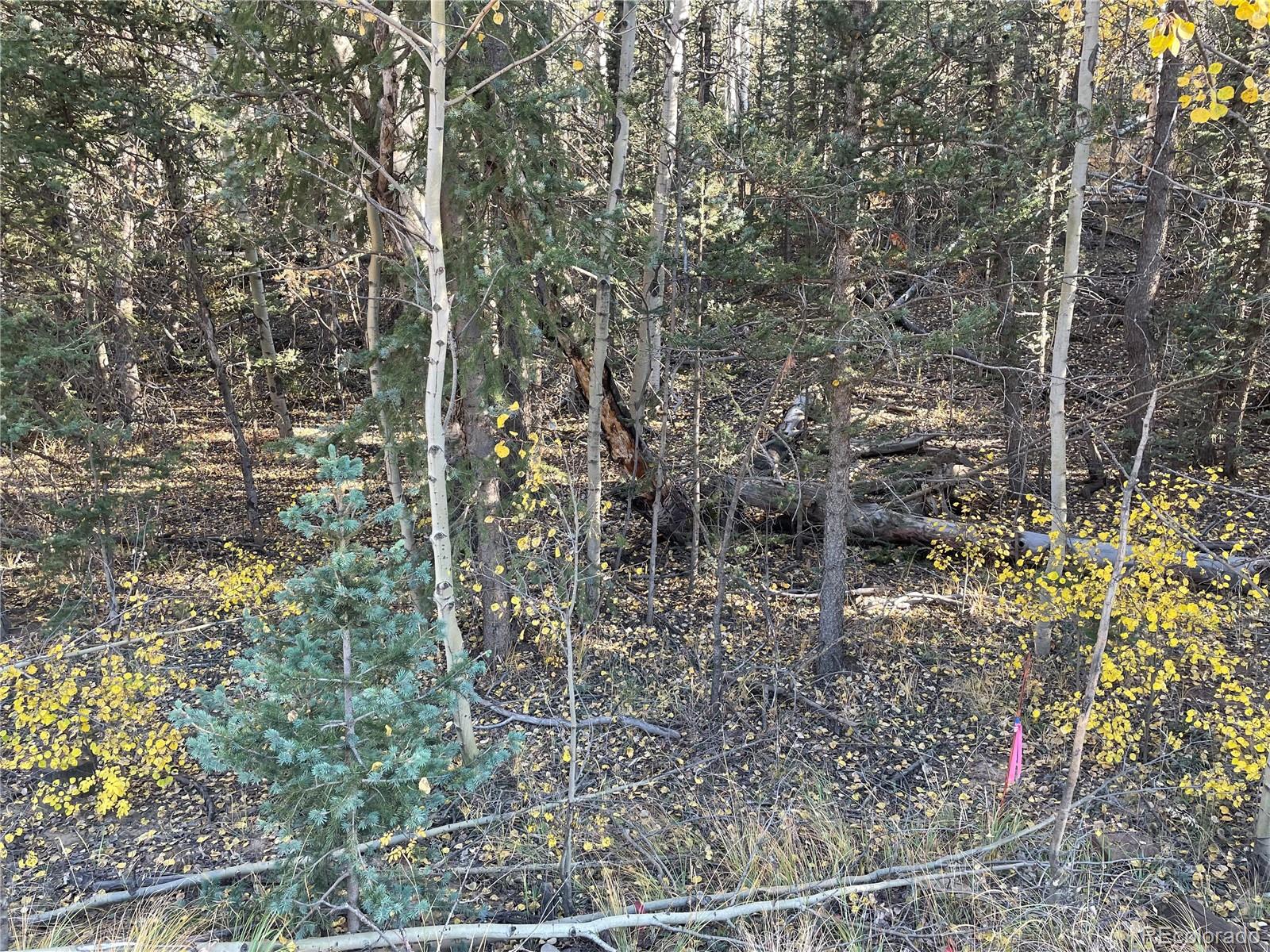 6409 Remington Road, Como, CO 80432, ,Land,For Sale,Remington,REC9129230