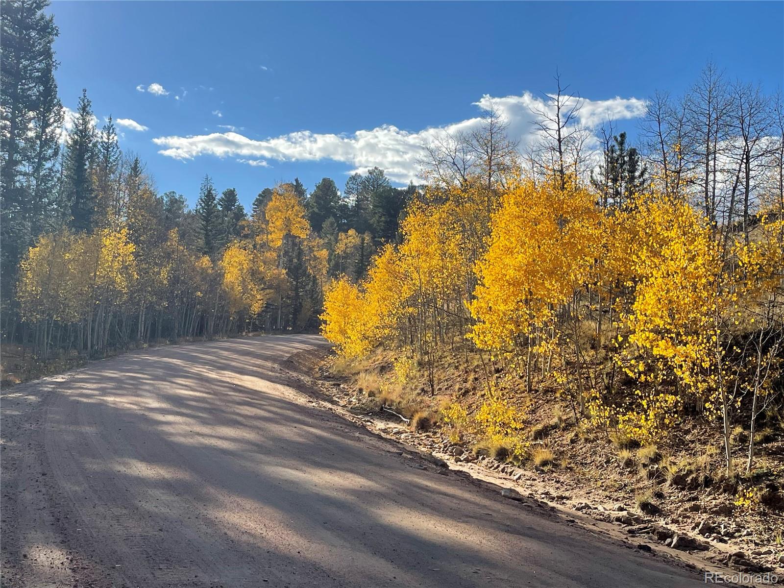 6409 Remington Road, Como, CO 80432, ,Land,For Sale,Remington,REC9129230