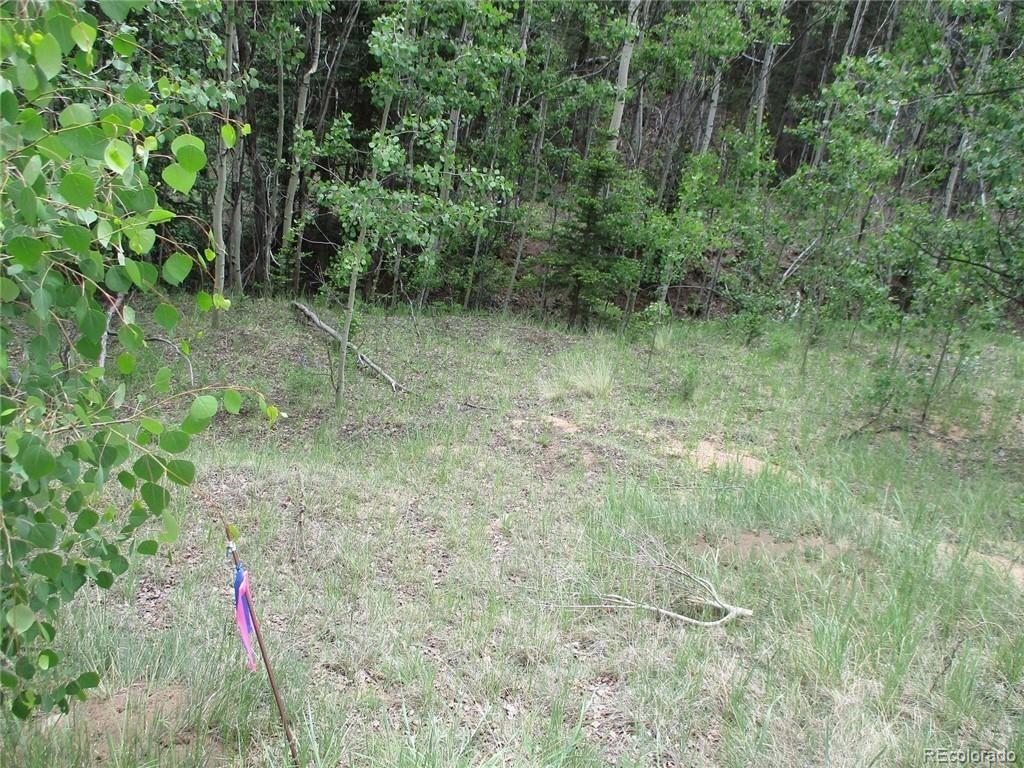 6409 Remington Road, Como, CO 80432, ,Land,For Sale,Remington,REC9129230