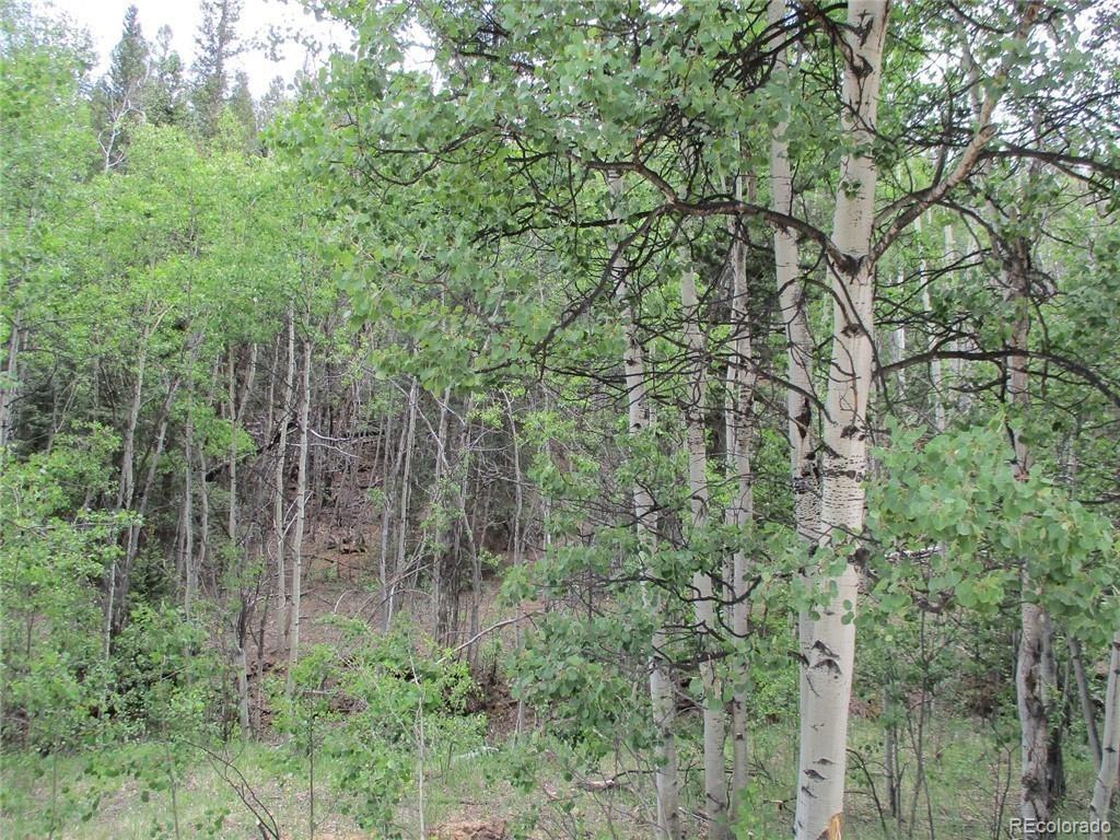 6409 Remington Road, Como, CO 80432, ,Land,For Sale,Remington,REC9129230