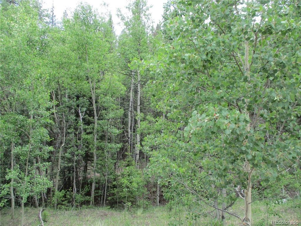 6409 Remington Road, Como, CO 80432, ,Land,For Sale,Remington,REC9129230