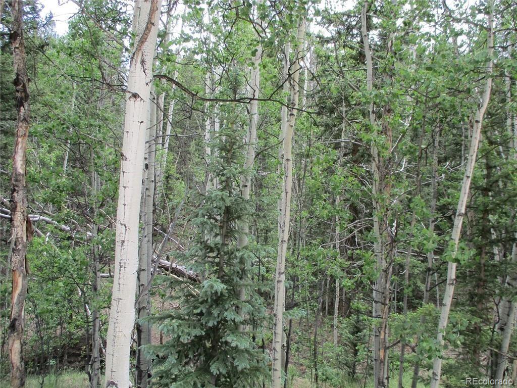 6409 Remington Road, Como, CO 80432, ,Land,For Sale,Remington,REC9129230