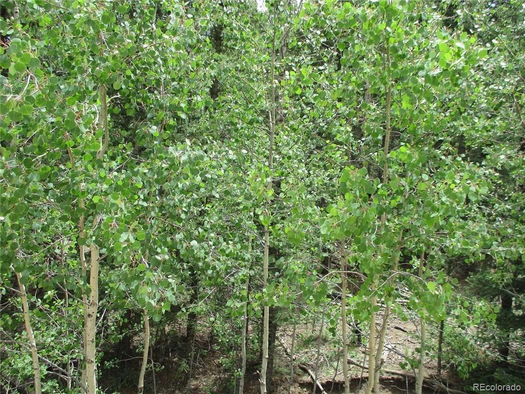 6409 Remington Road, Como, CO 80432, ,Land,For Sale,Remington,REC9129230